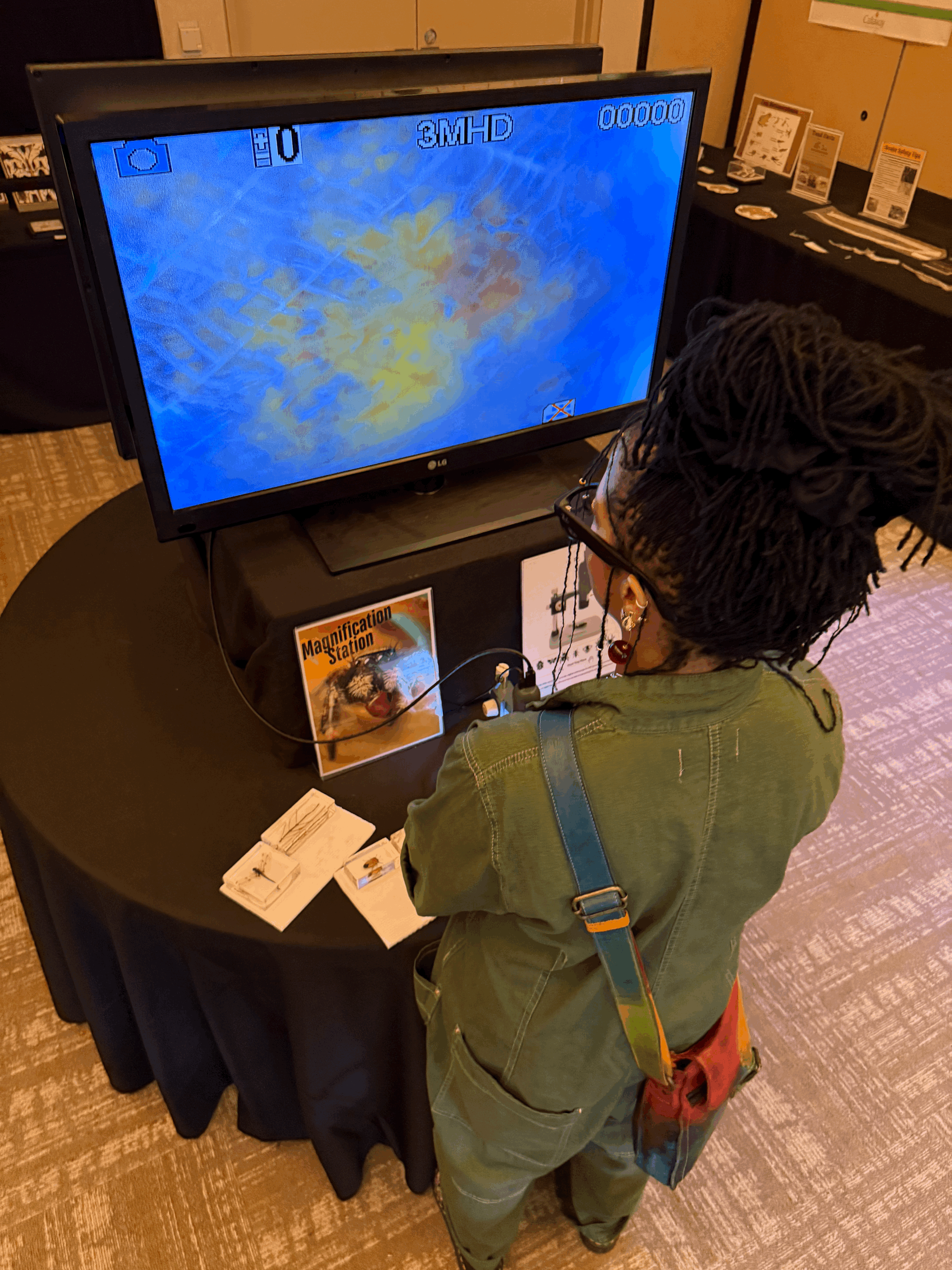 A Full Experience at Callaway Resort and Gardens 2025: Nature, Wellness, and the Magic of Fantasy in Lights