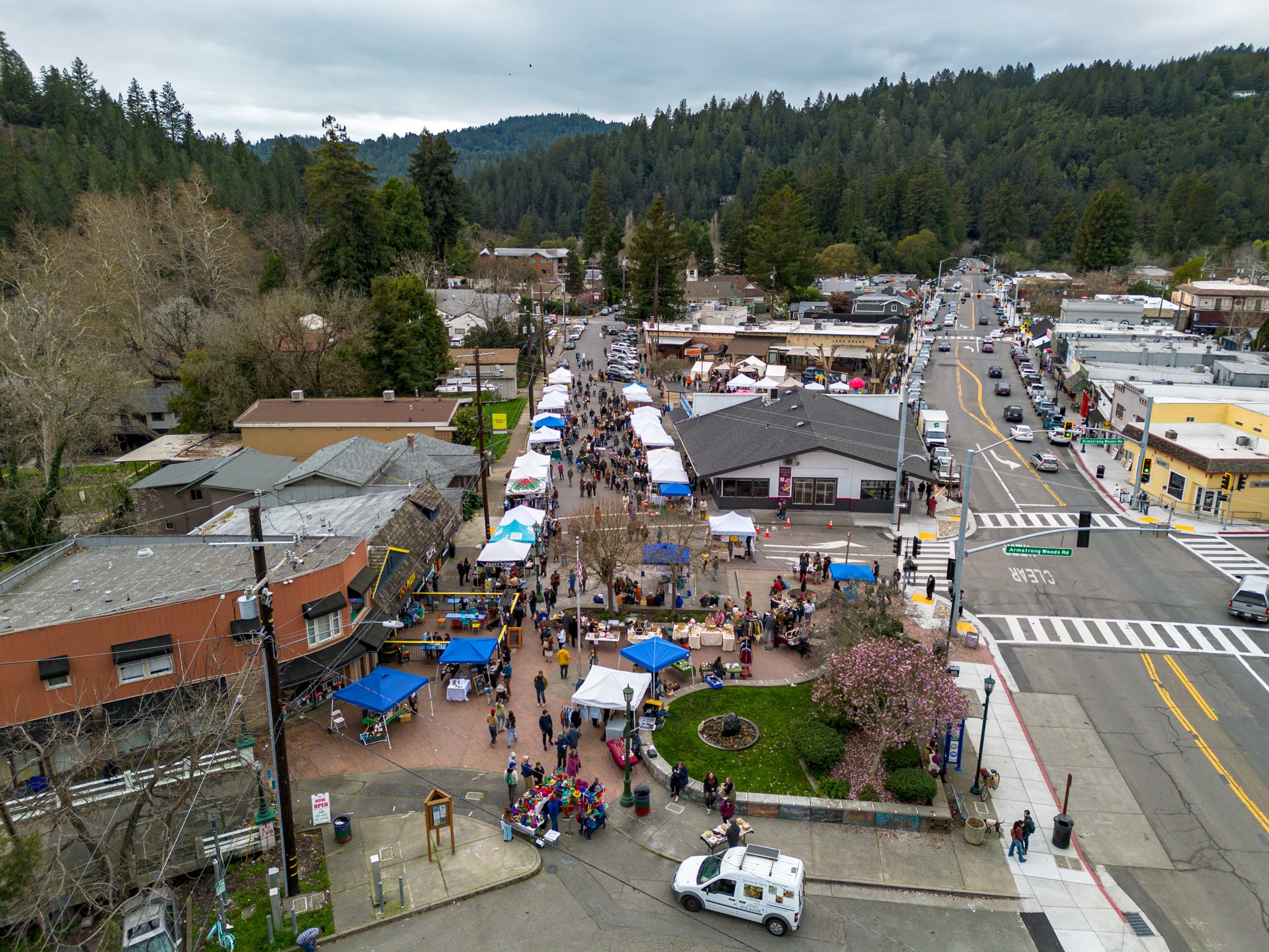 2026_FungiFest_Drone_0357.jpg