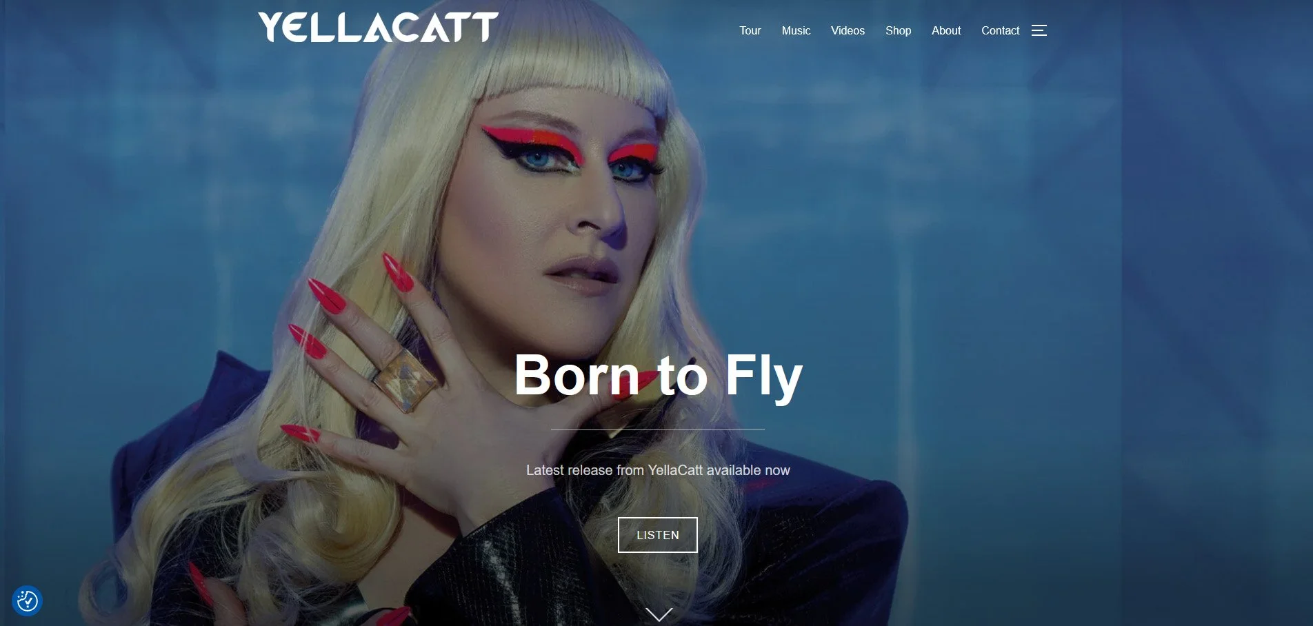 Image of homeage for YellaCatt