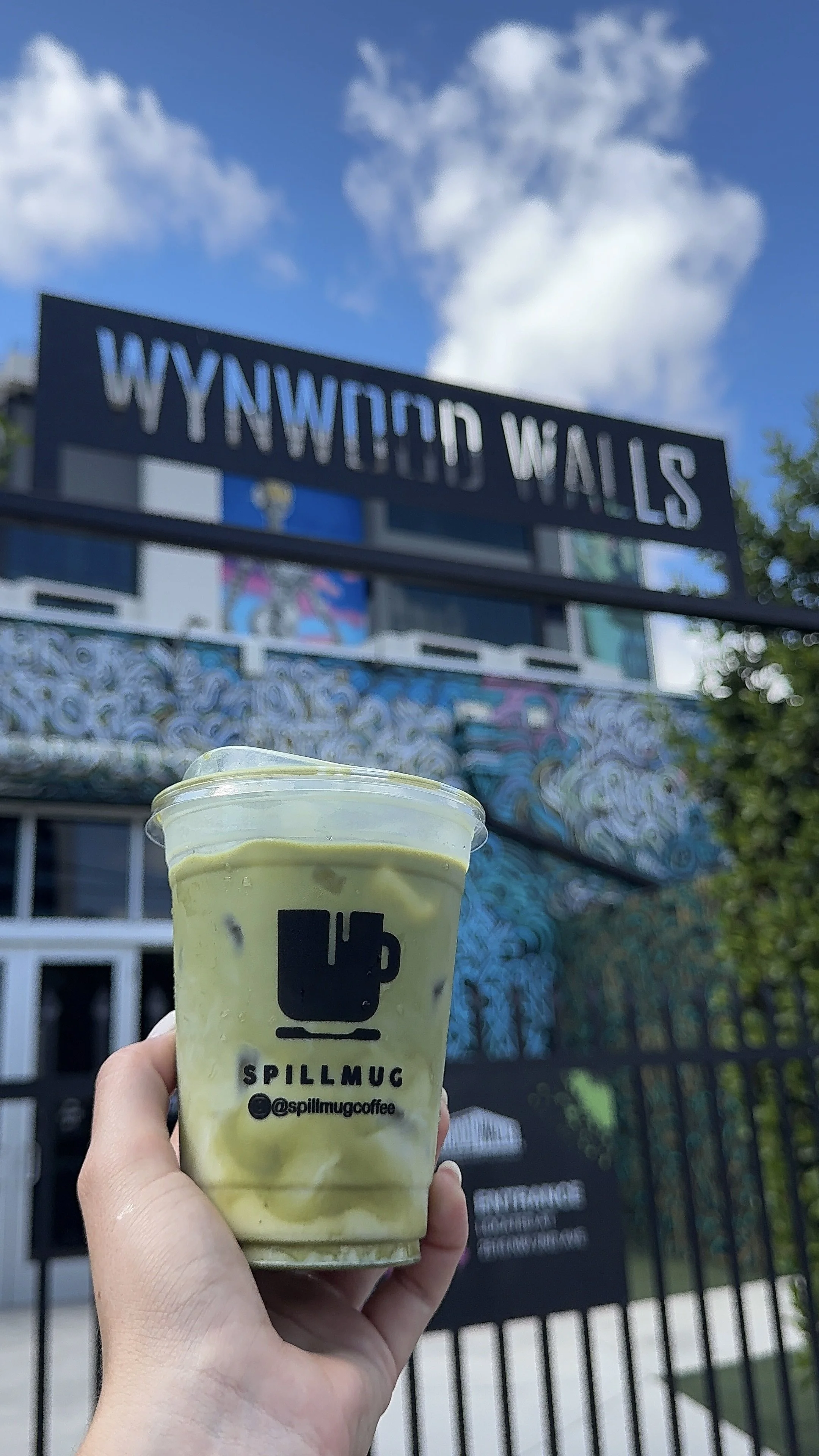 Matcha Drinks By Spillmug Matcha