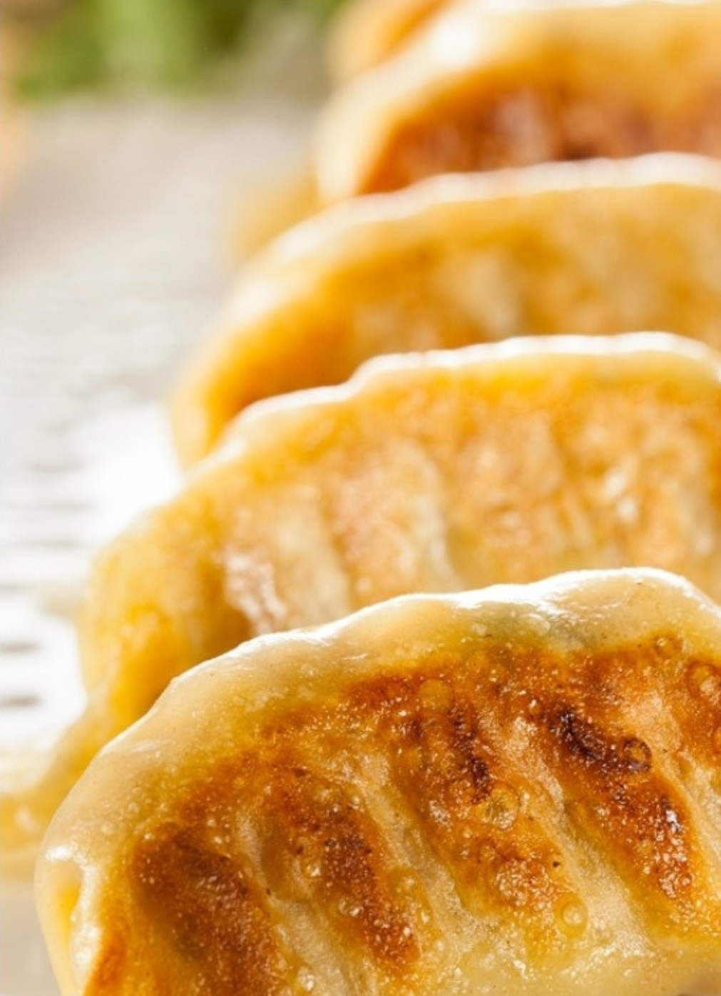 Chicken Gyoza By Manila Grill