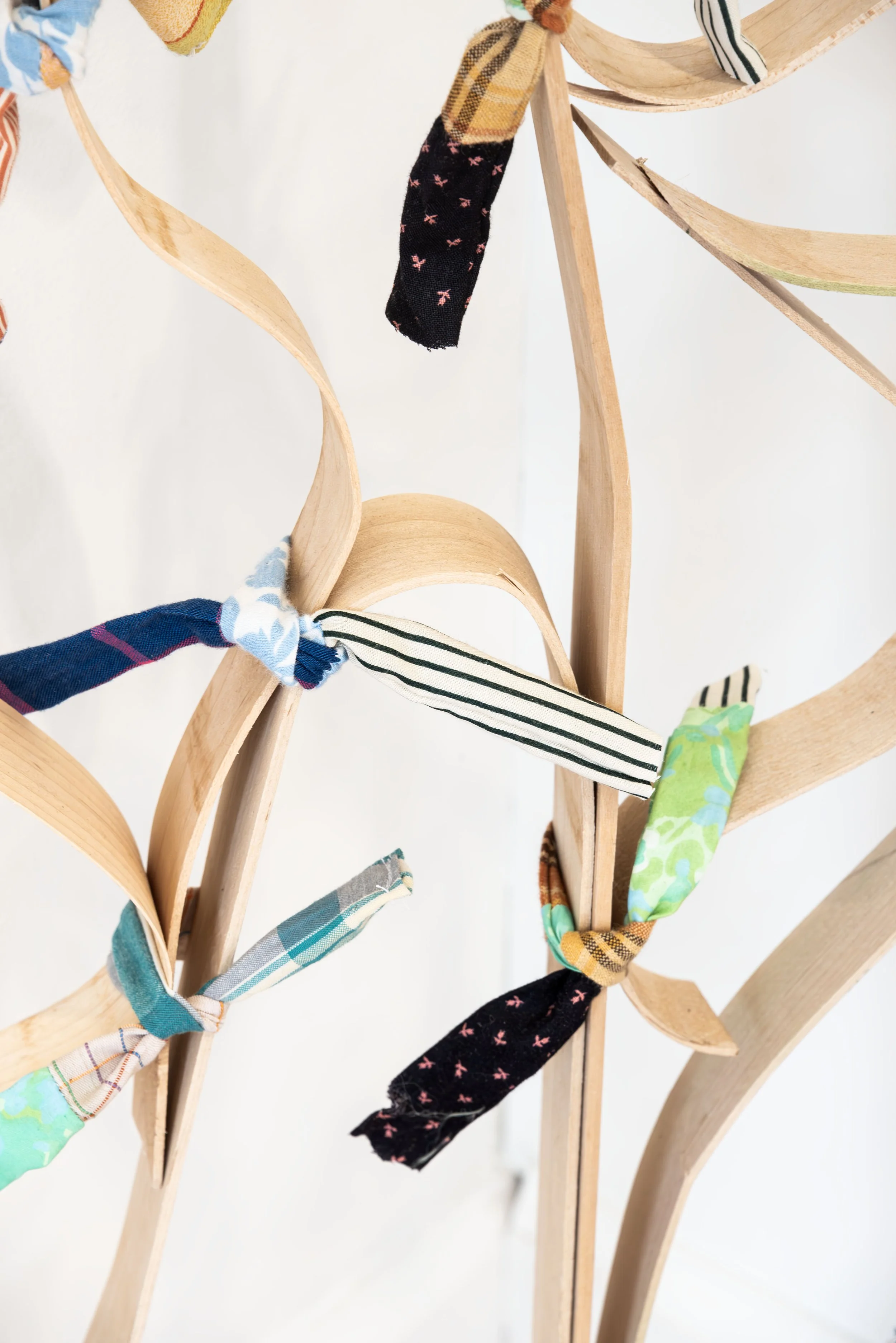 DSC_5013-Enhanced-NR copy.jpg