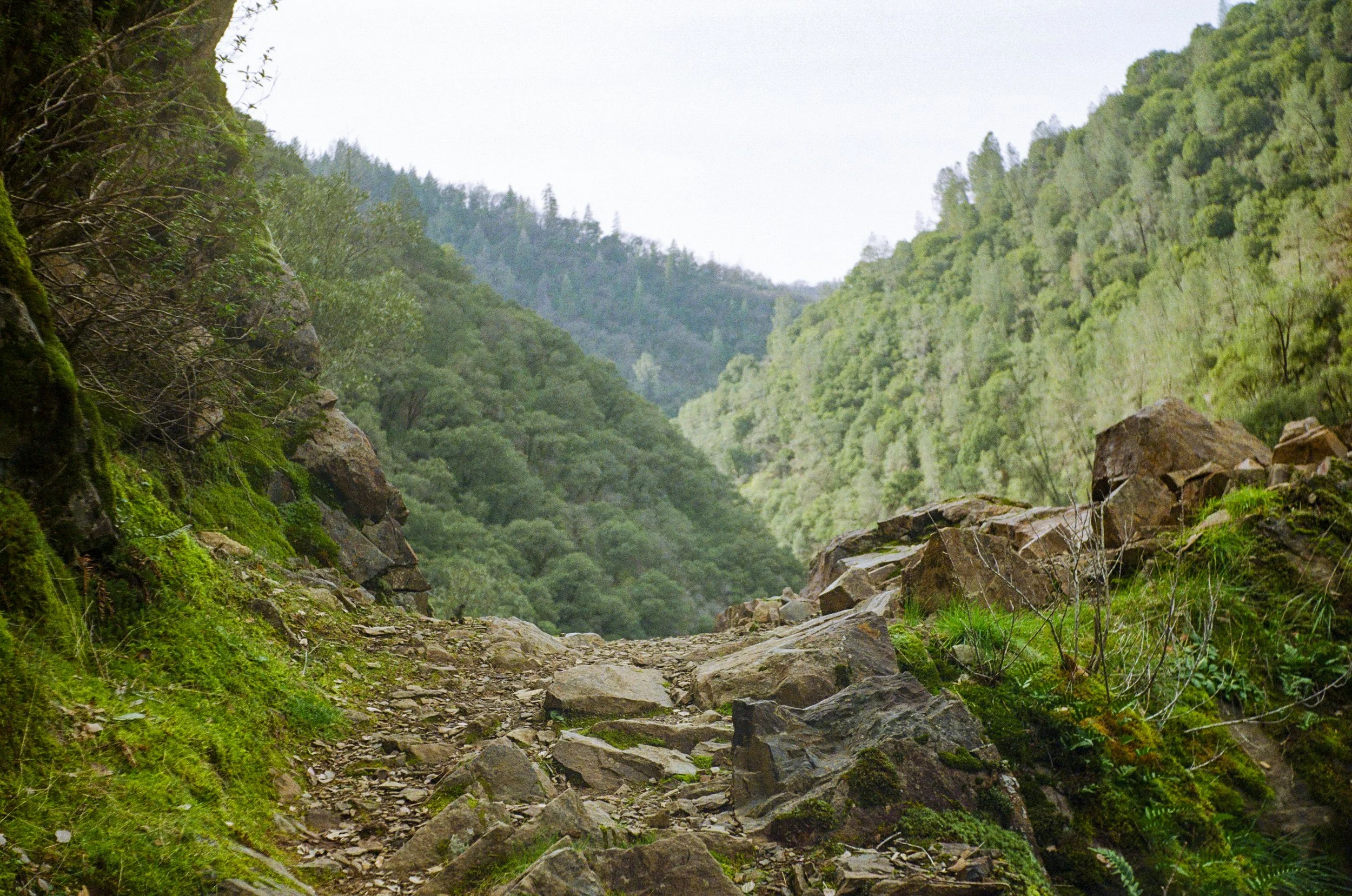 “Slow Your Rolls” Ep:1