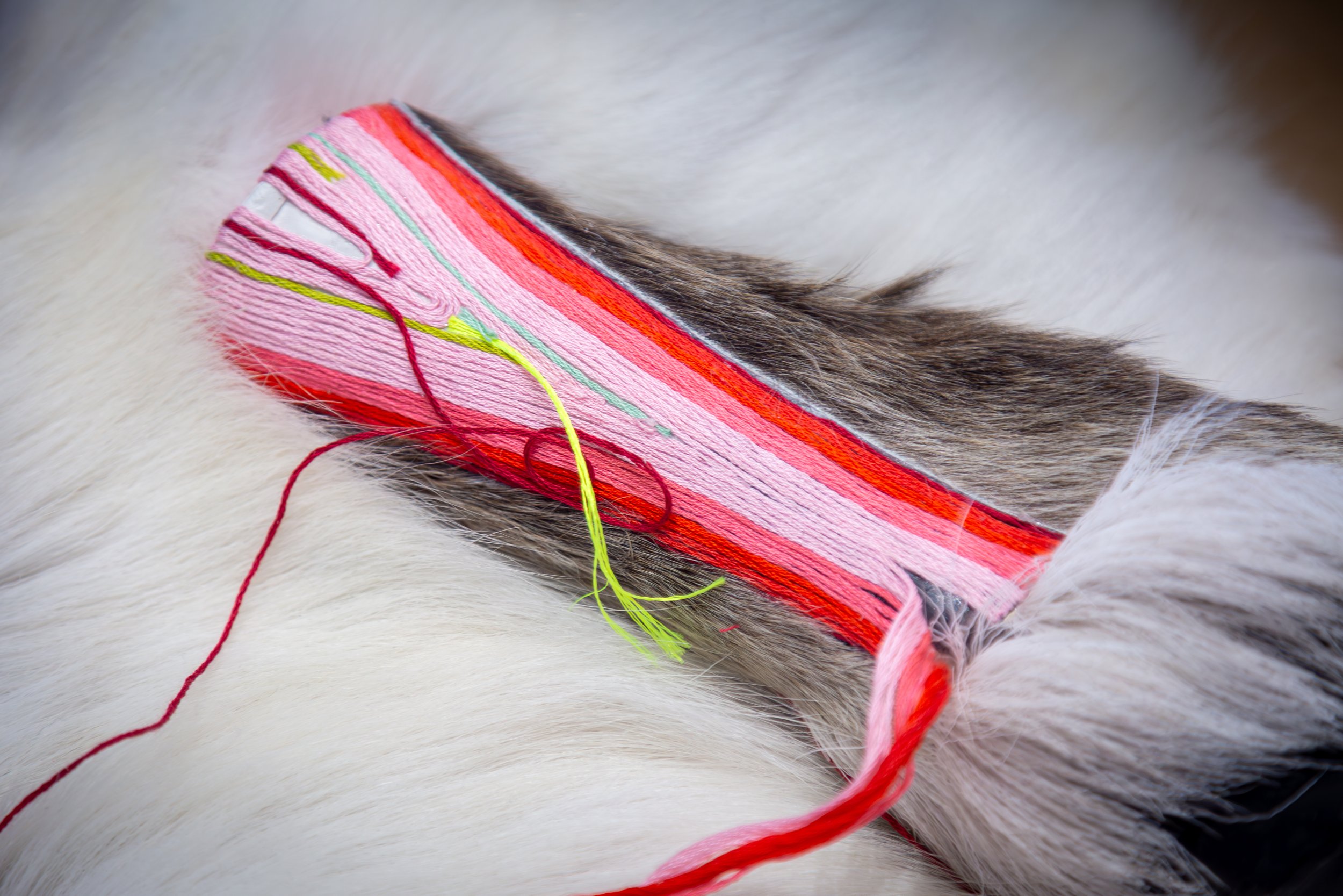 Dear Etthén, 2023 (detail)