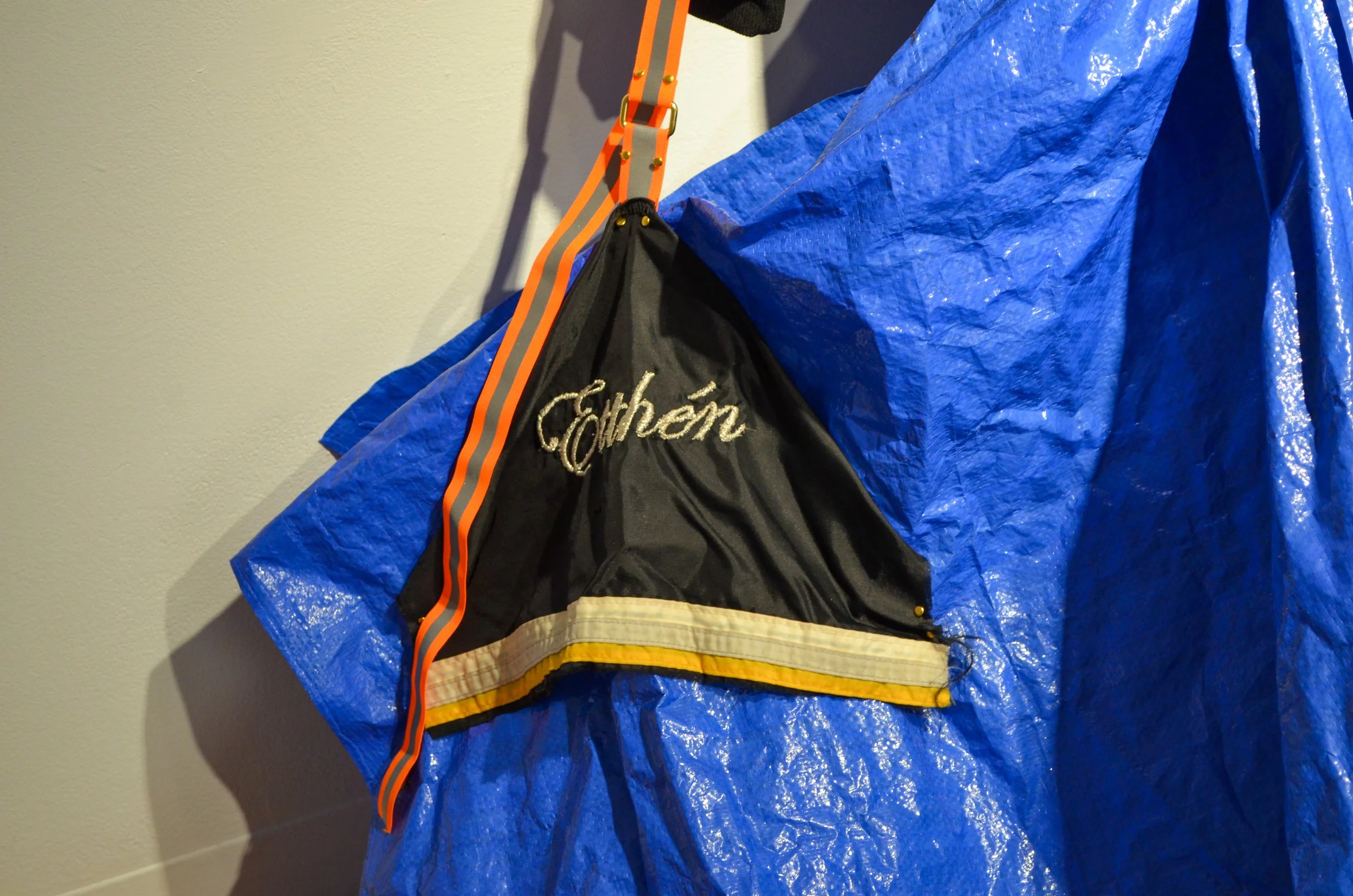 Dear Etthén, 2023 (detail)