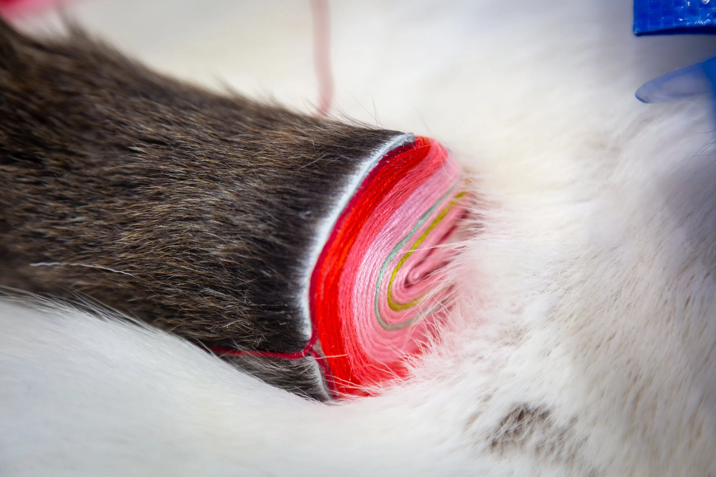 Dear Etthén, 2023 (detail)