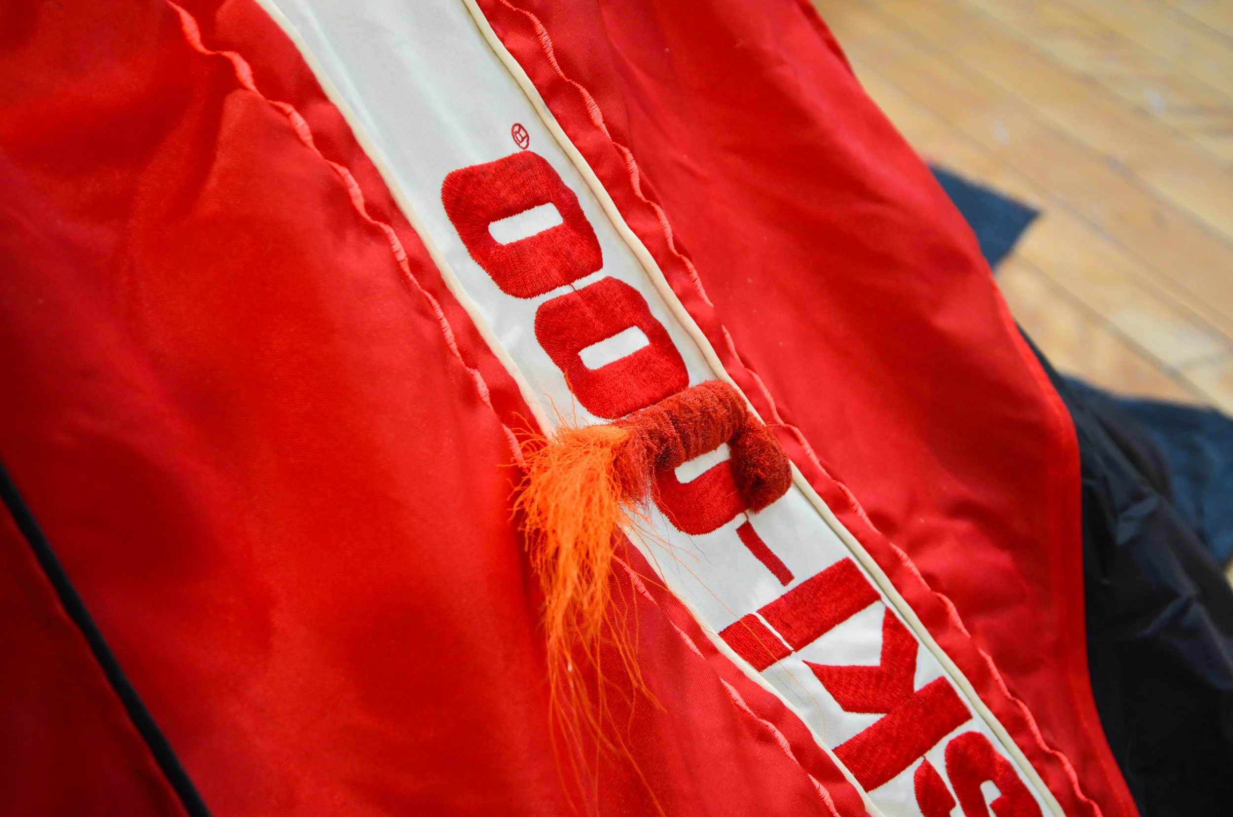 Caribou Dreamin', 2025 (detail)