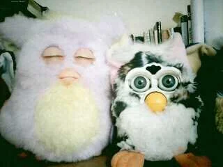 My life with furbies.