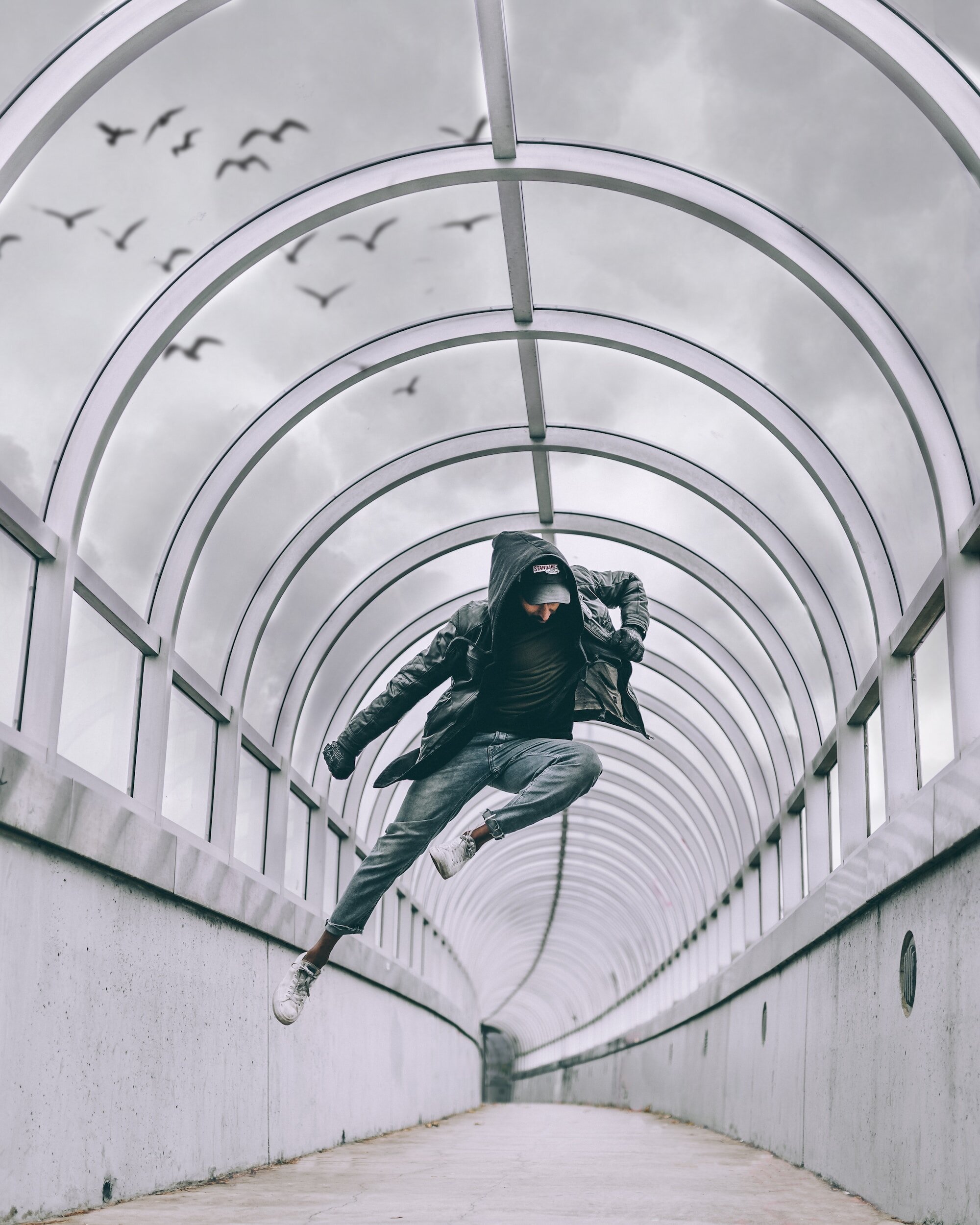 The Rise of the Super Ninja