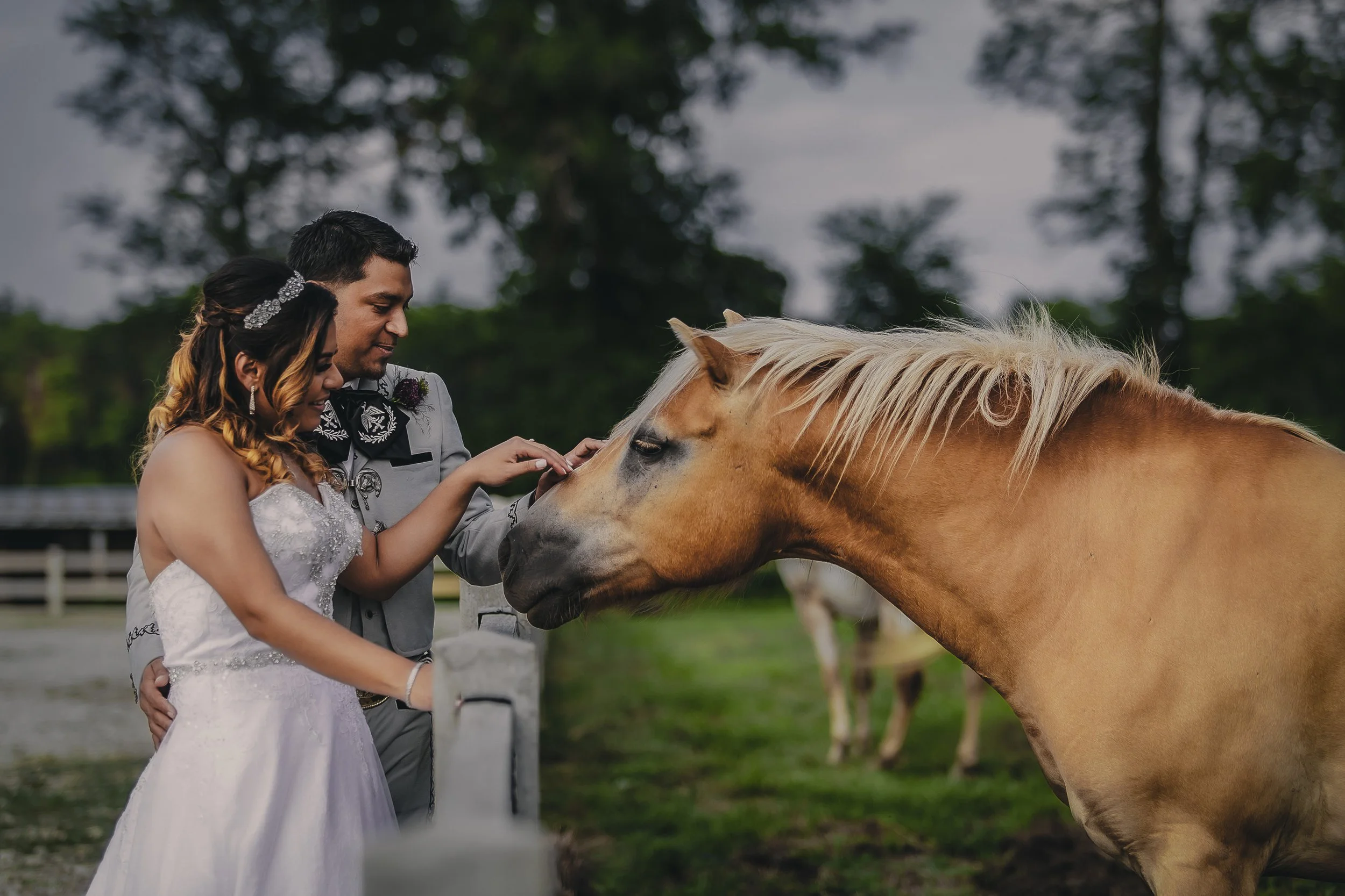 A bride and groom petting a light tan horse at a farm, with trees and a cloudy sky in the background.