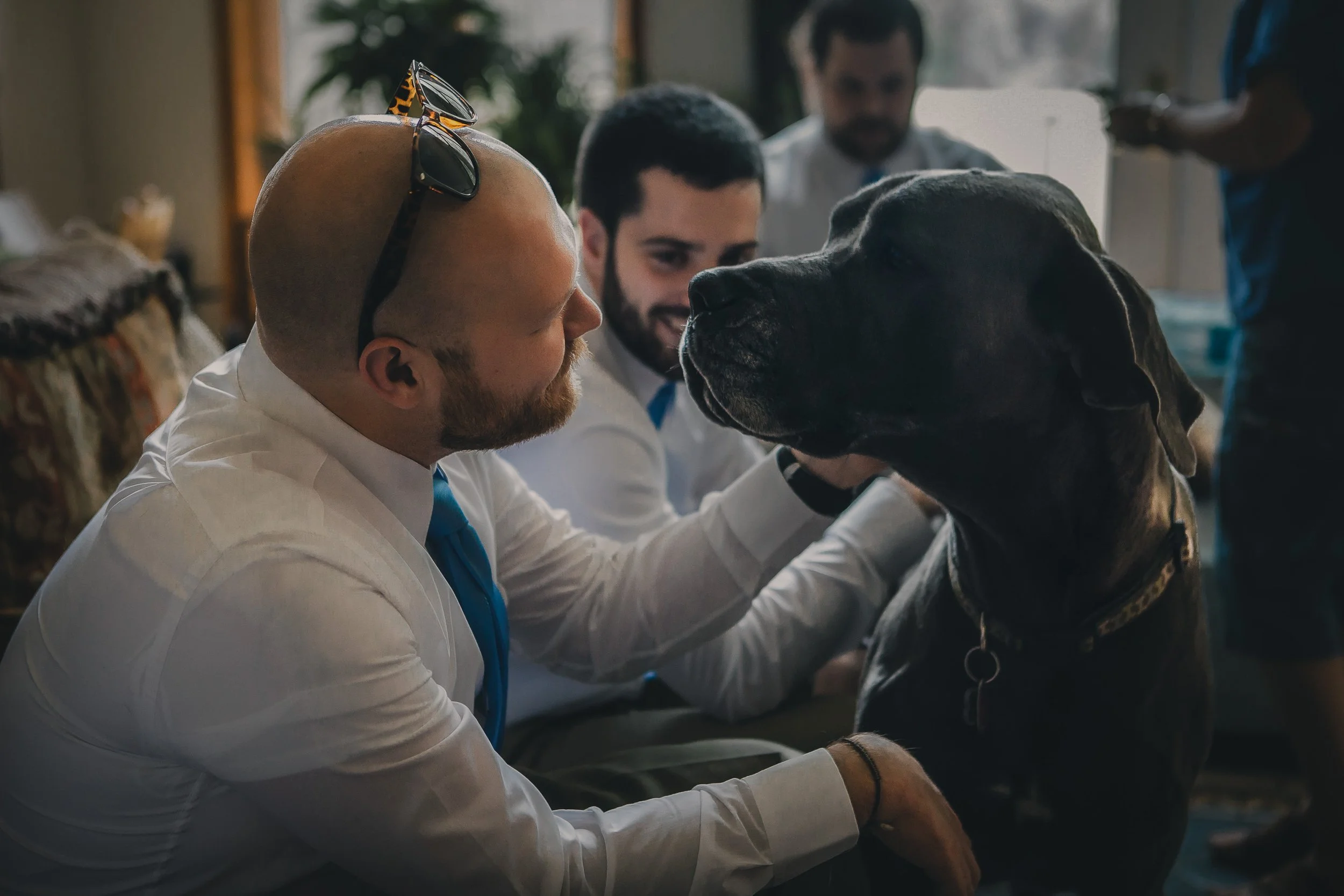 A man with sunglasses on his head and a beard interacting with a large black dog, while two other men watch and smile in a cozy indoor setting.