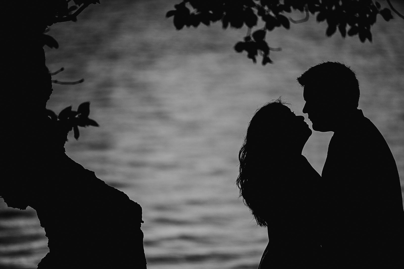 Silhouette of a couple touching noses near water with trees in the background.