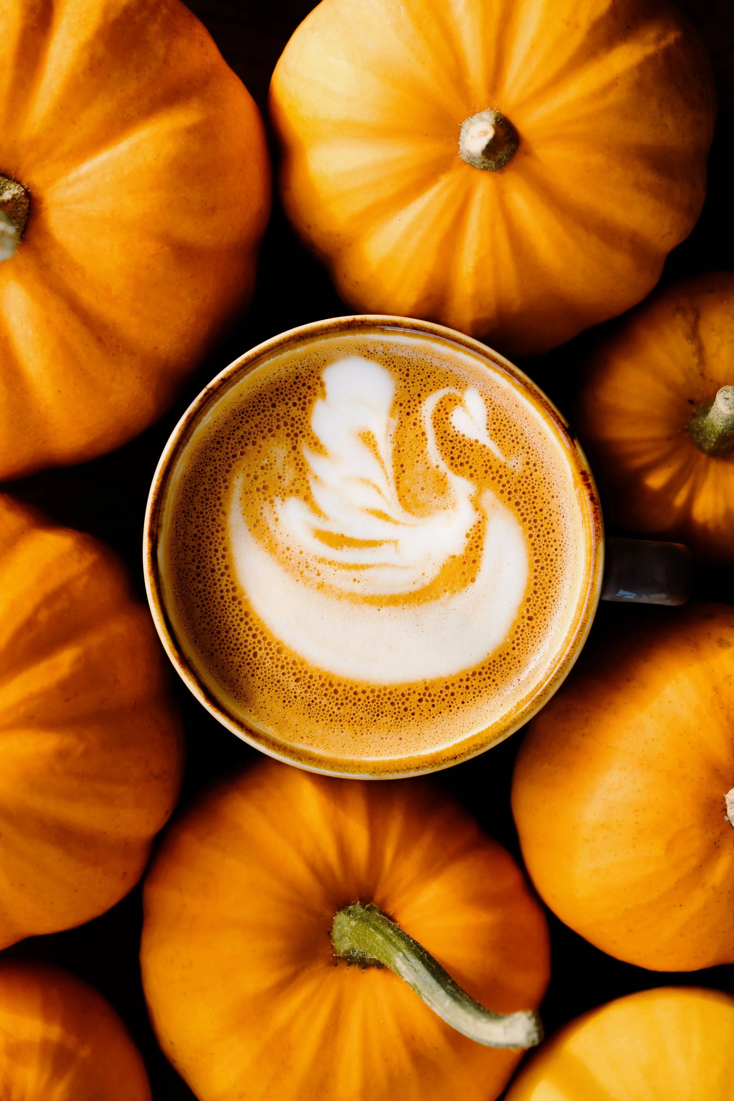 Professional food, beverage and coffee photography in Southampton, Hampshire, and London. Menu photography to showcase hospitality businesses.