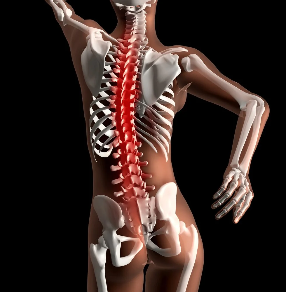 Your Back Isn’t Broken — Your Nervous System Just Thinks It Is