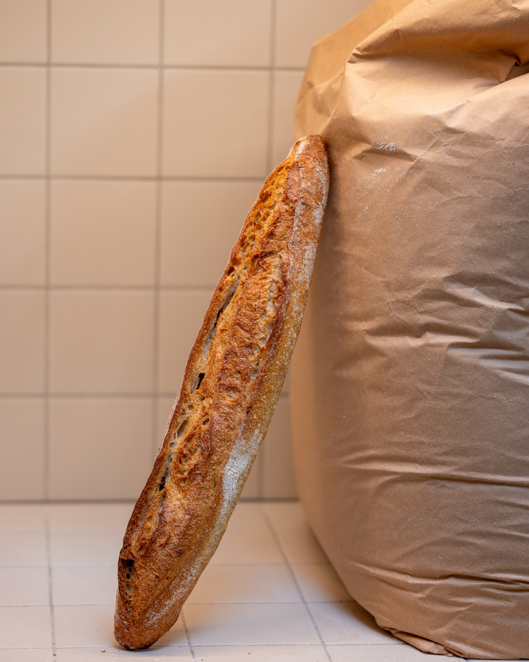 BAGUETTE 1.png