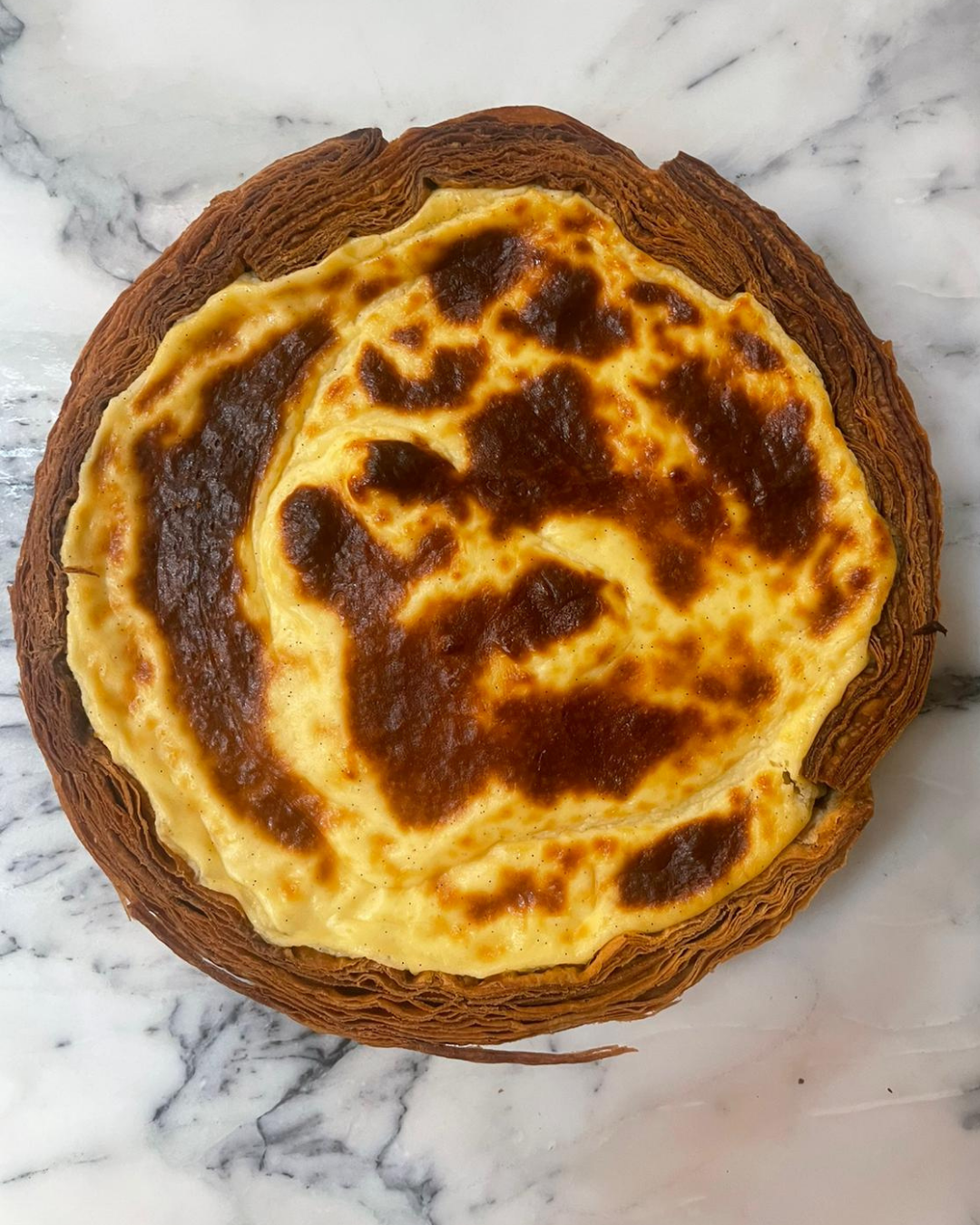 FLAN 1.png