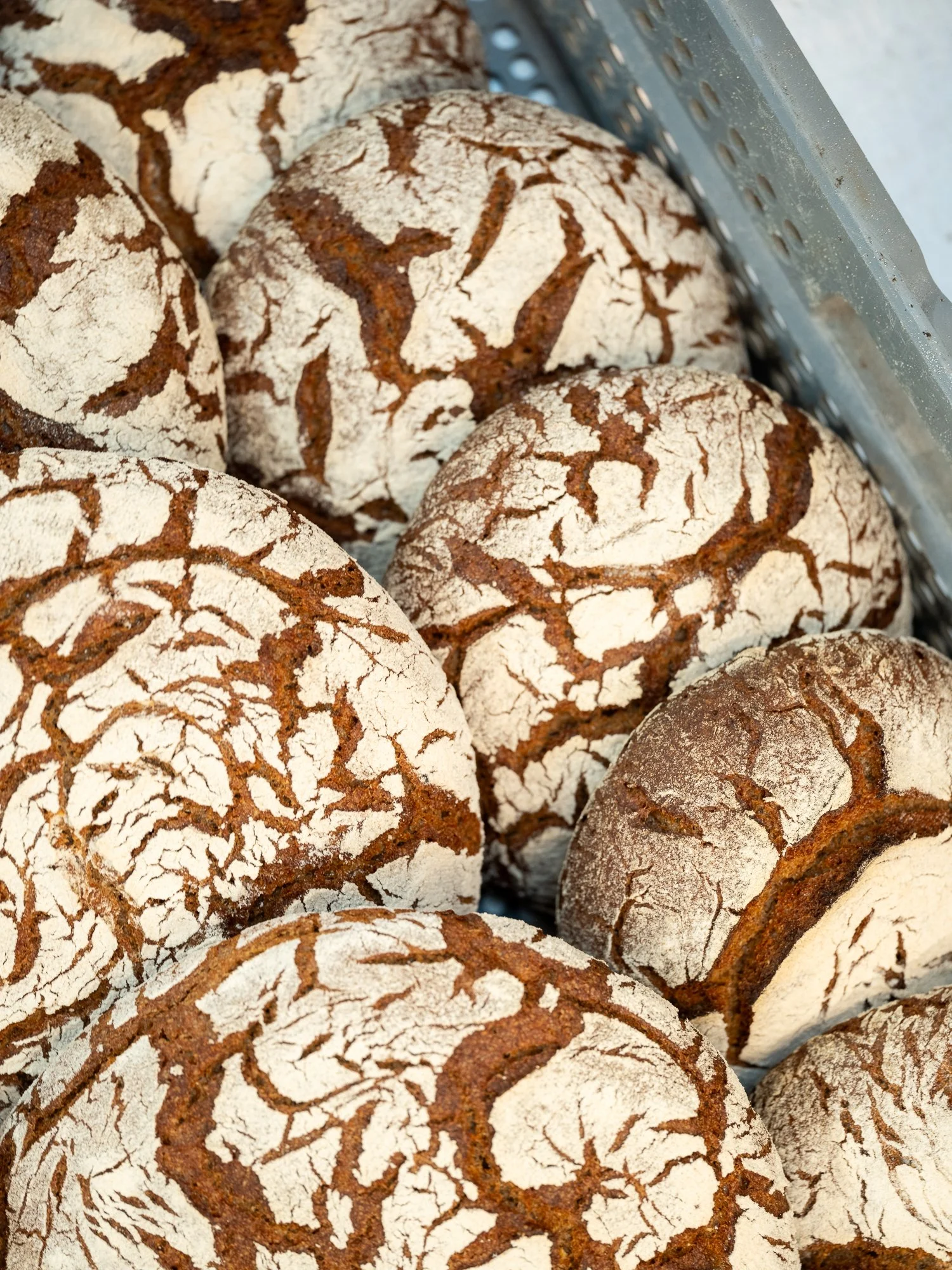 Organic rye–lemon torte (Small)