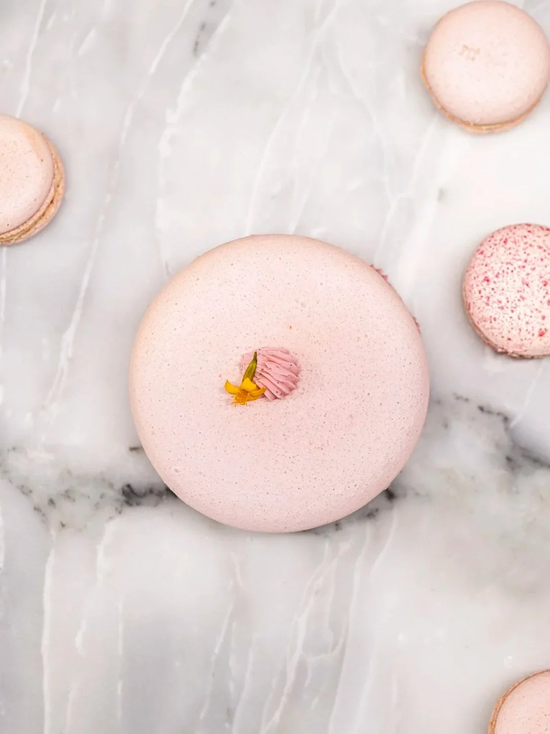 Goods-Macaron-Janvier2026-EquinoxLightPhoto-2.jpg