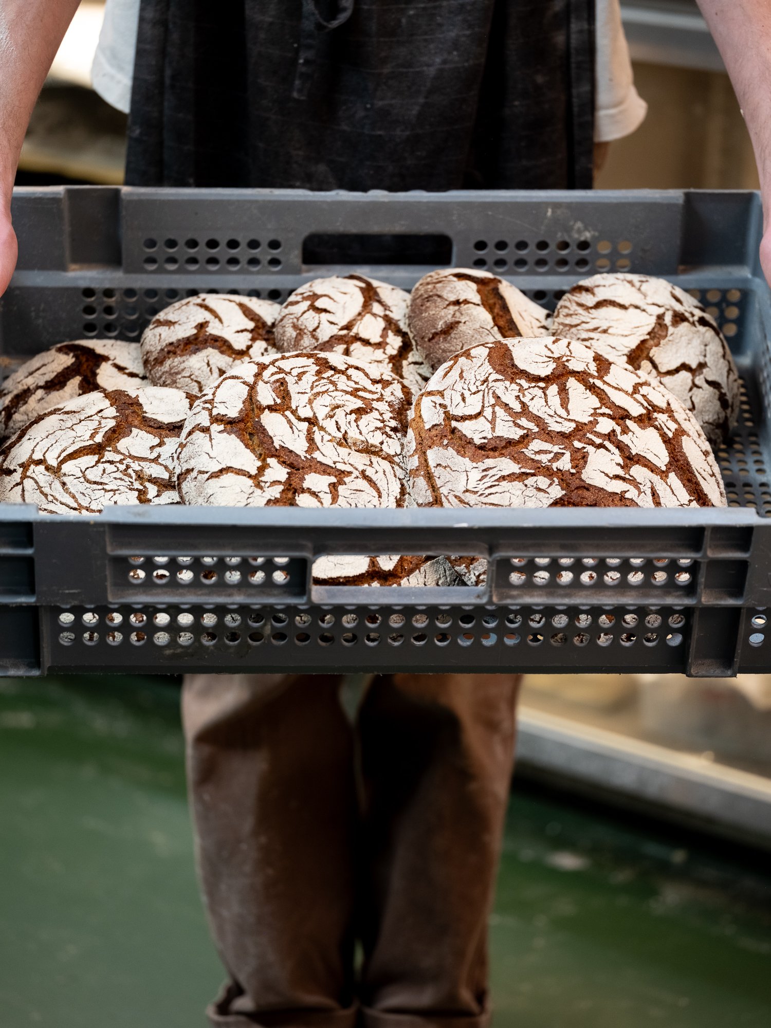 Organic rye–lemon torte (Large)