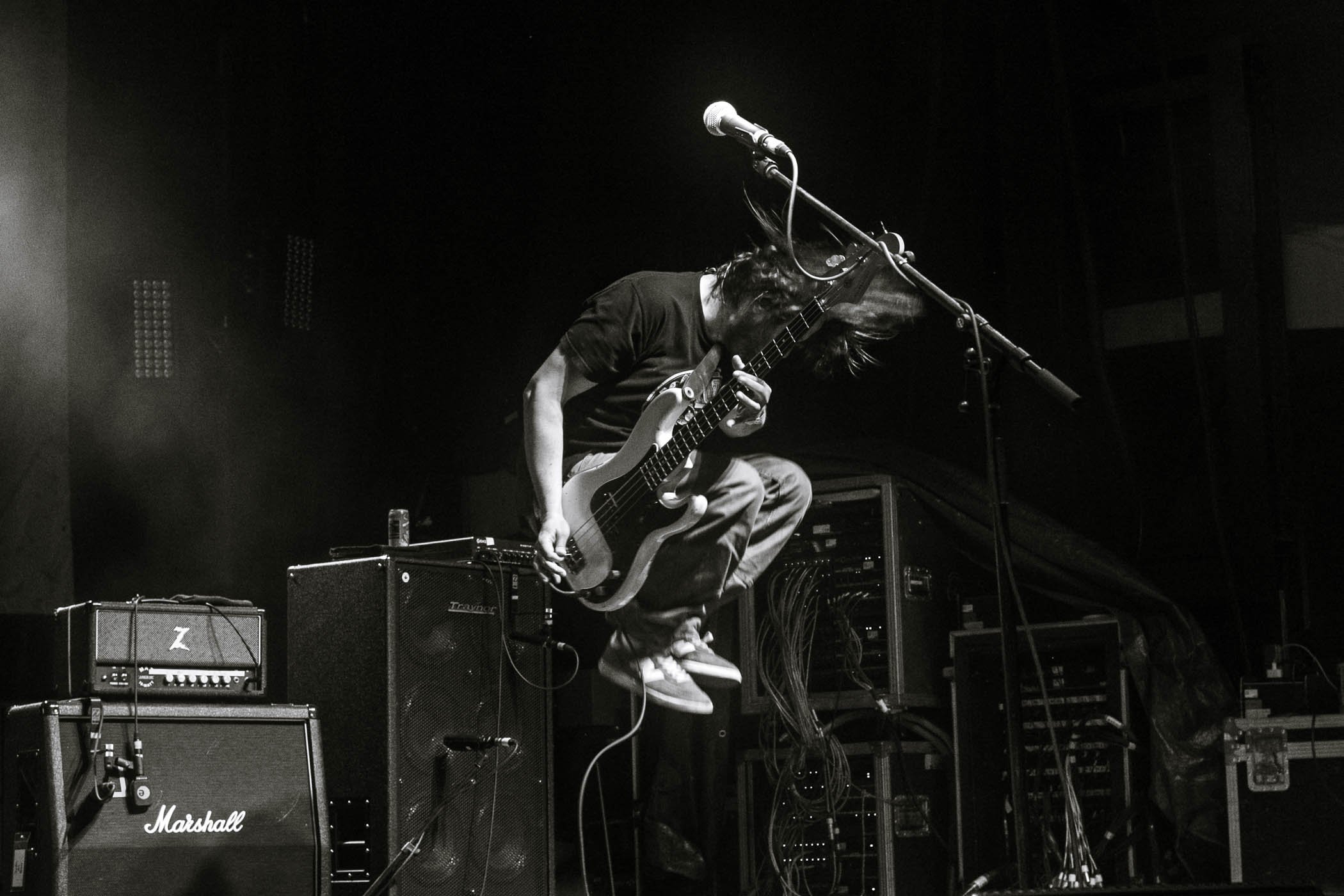 Pup-41.jpg