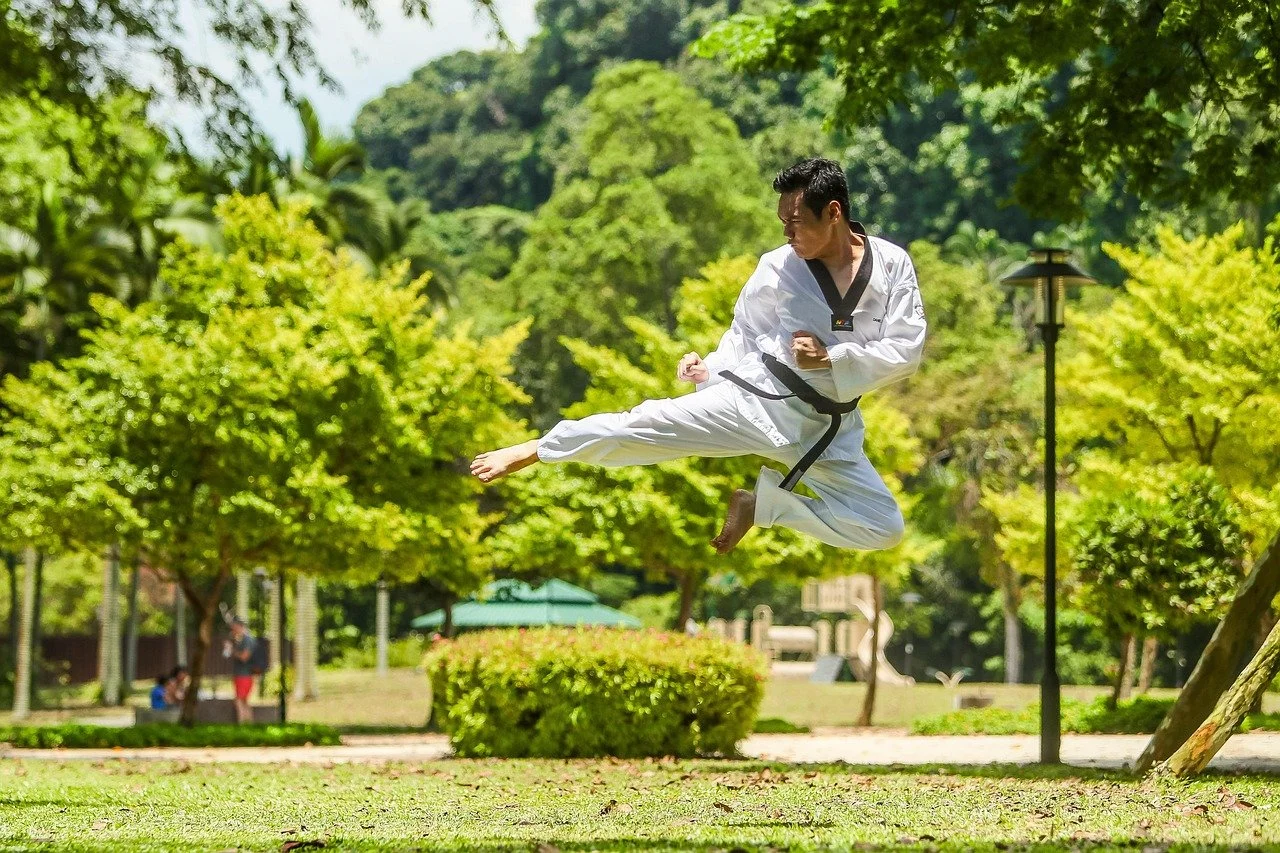 Write Like a Martial Artist