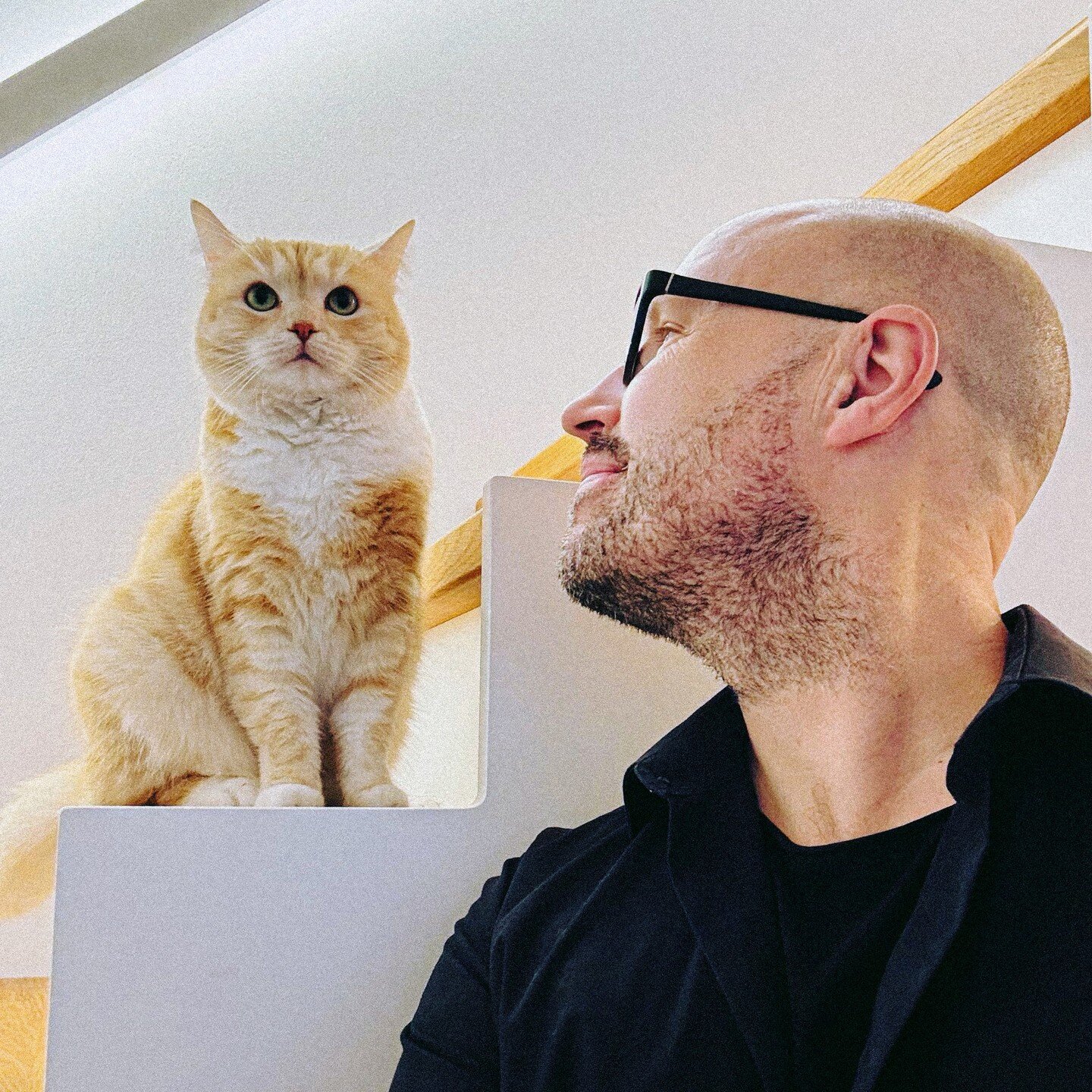 Have a great weekend! Shirin and me wish you a peaceful day wherever you are, whatever you do. #schiller #shirin #catdad #happyweekend #voyage #thejourneycontinues #schillermusic