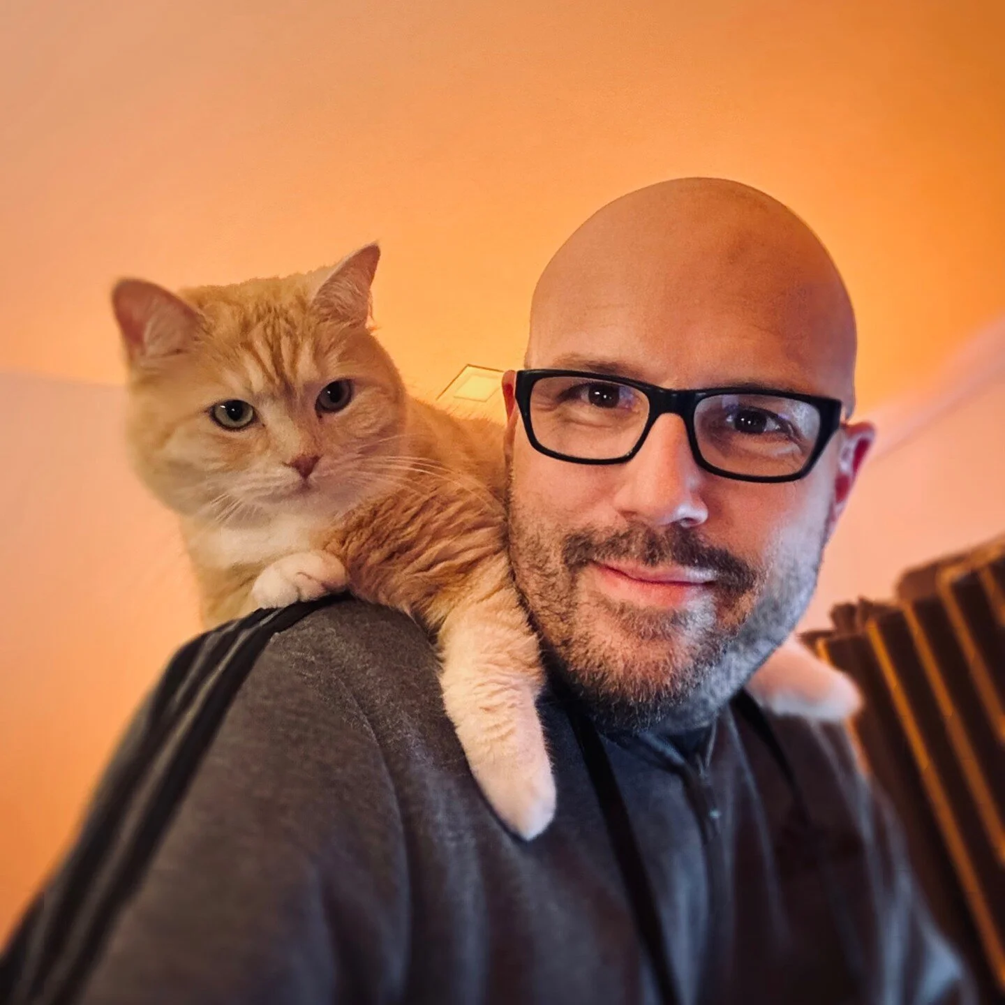 We wish you a wonderful weekend. In any case, Shirin has already found a place that seems to suit her very well :-) #schiller #shirin #catlove #happyweekend #voyage #thejourneycontinues #schillermusic