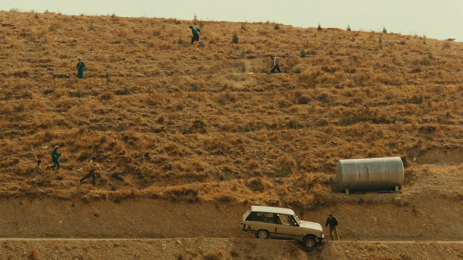 Rewind & Revive: Taste of Cherry: The Weight of a Mulberry and the Poetry of the Ordinary