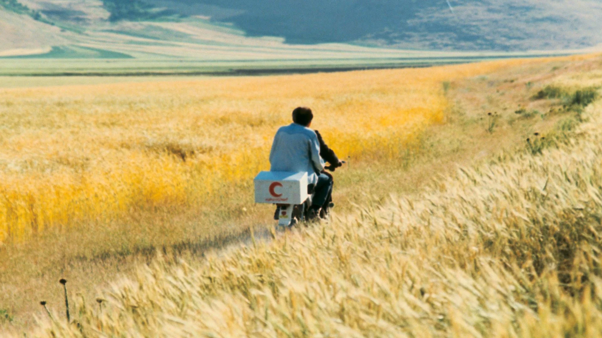 Rewind & Revive: Waiting for Death, Finding Life in Abbas Kiarostami’s The Wind Will Carry Us