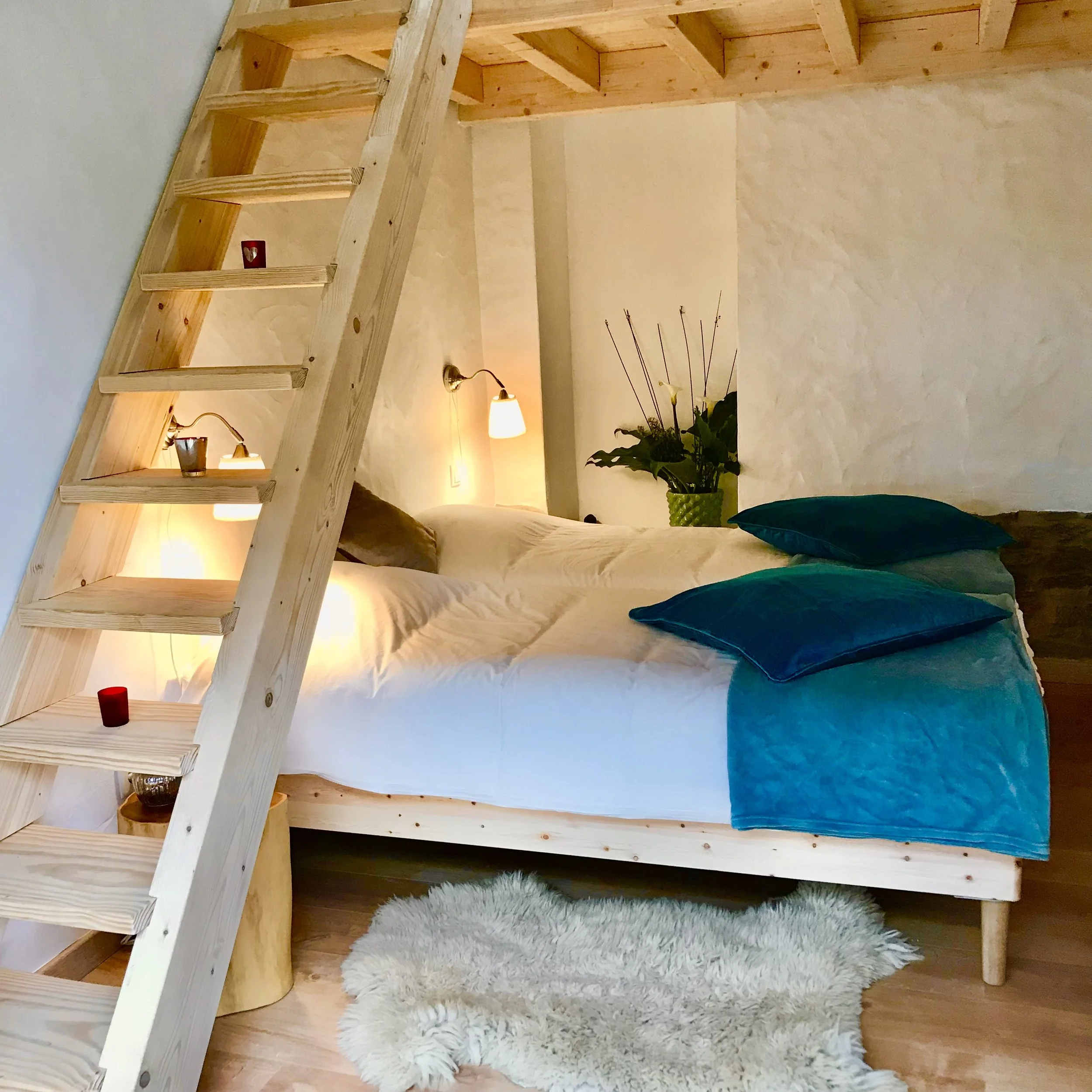 Cozy bedroom with a wooden loft bed, teal pillows, a white fluffy rug, and a potted plant with tall stems and leaves.