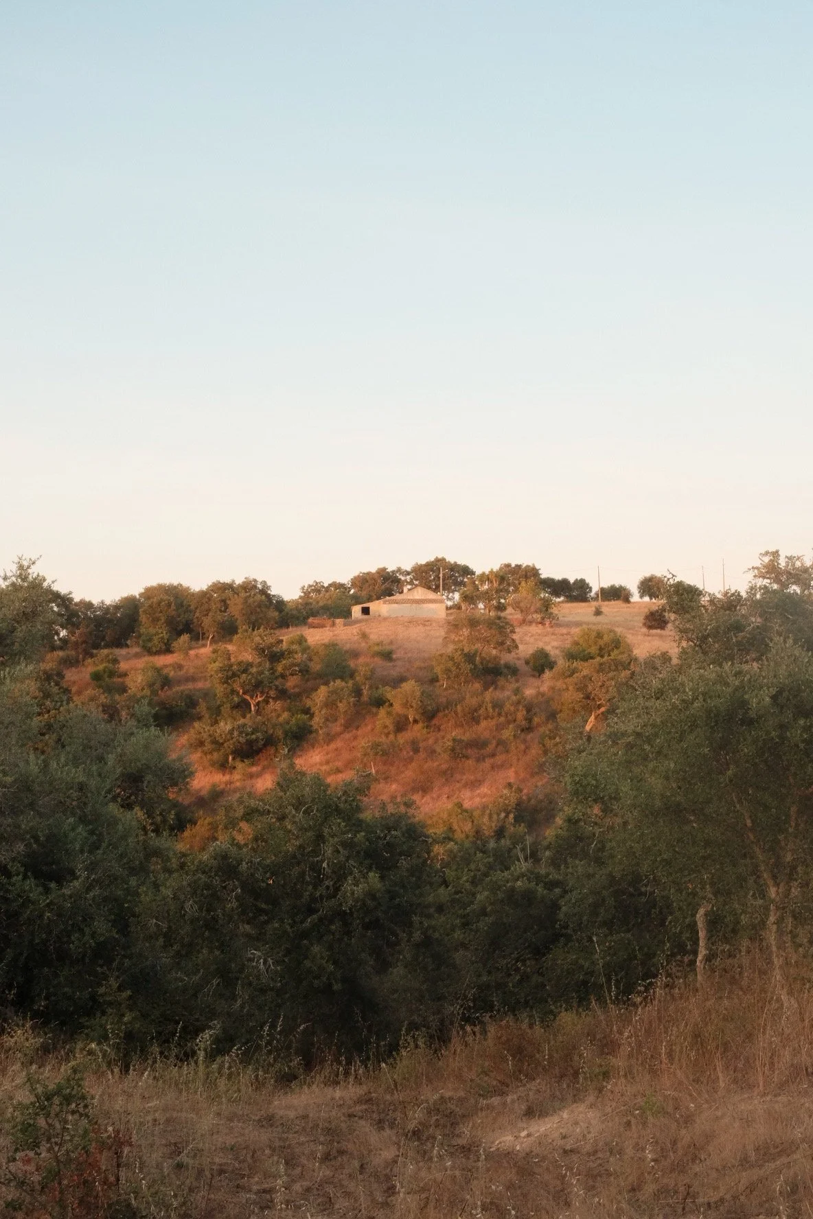 AB8A60DC-2589-45D7-9FB1-666B09A8F3F0-46585-00001ECEDF464E03.jpeg