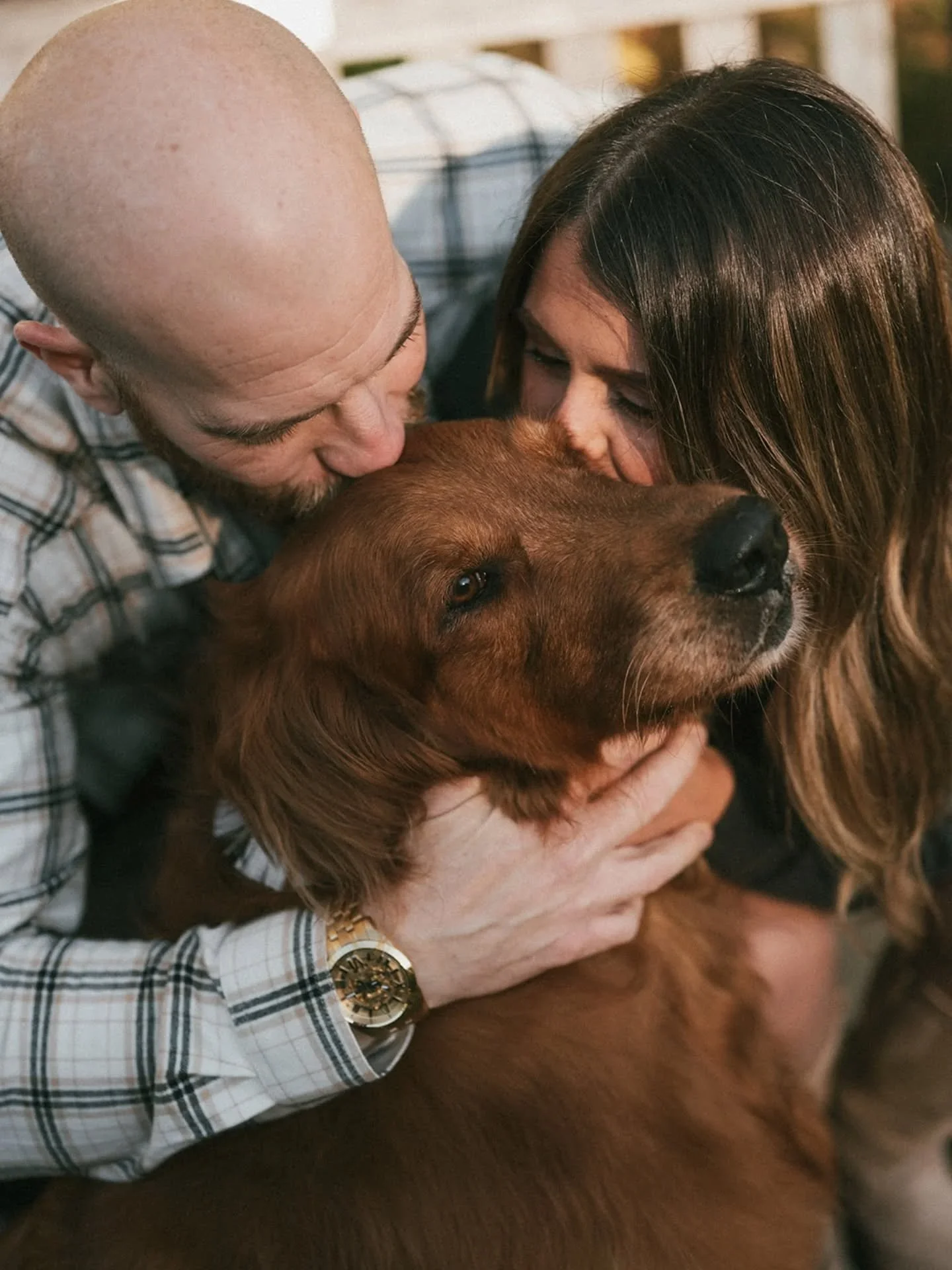 I always encourage everyone to bring their dogs to a photoshoot but consider yourself warned that despite all your best efforts they will be the star of the show even if you're newly engaged with a giant sparkly ring and have Save the Dates to make--