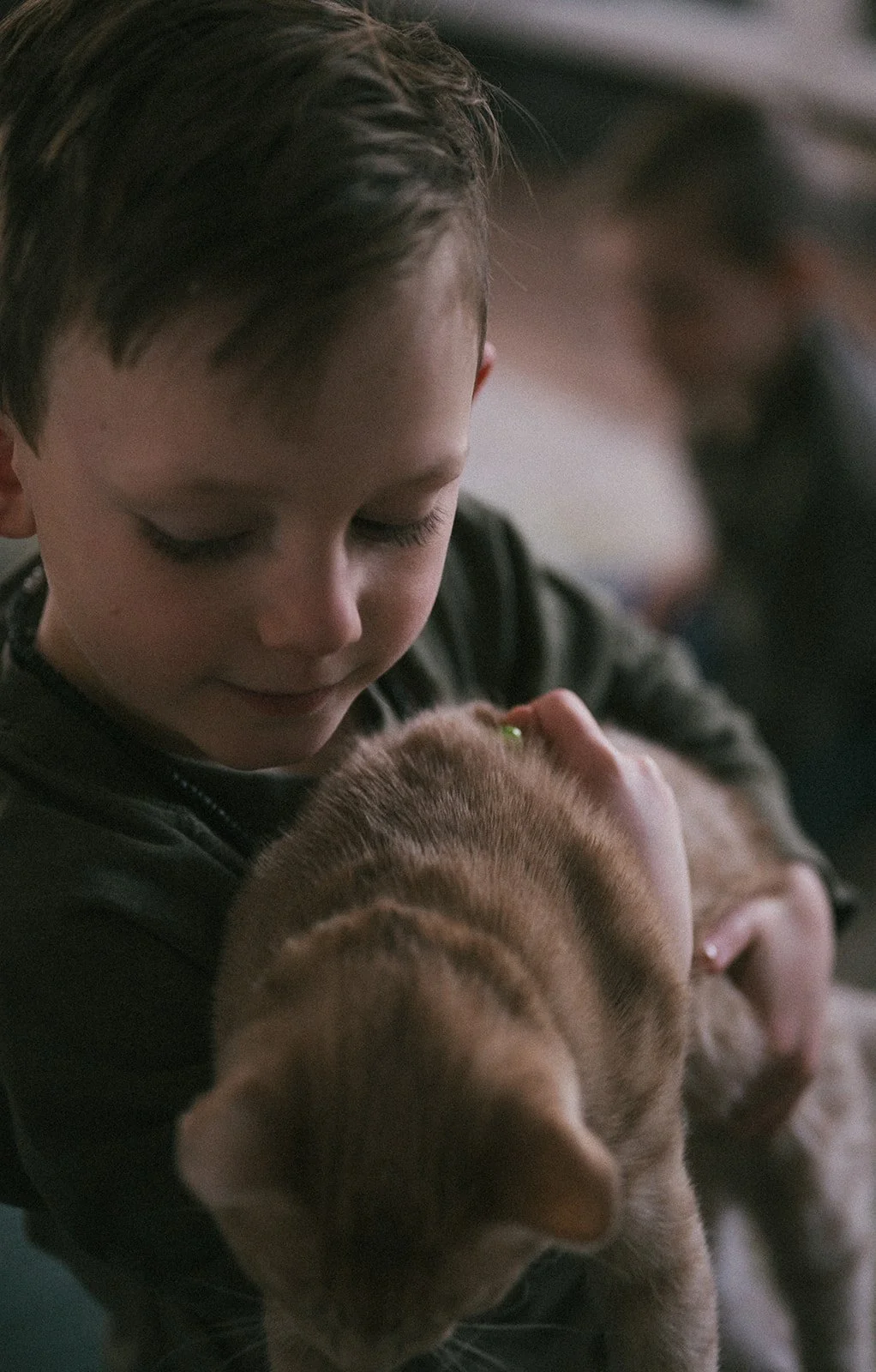 Rachel + boys - home session 2024-161.jpg