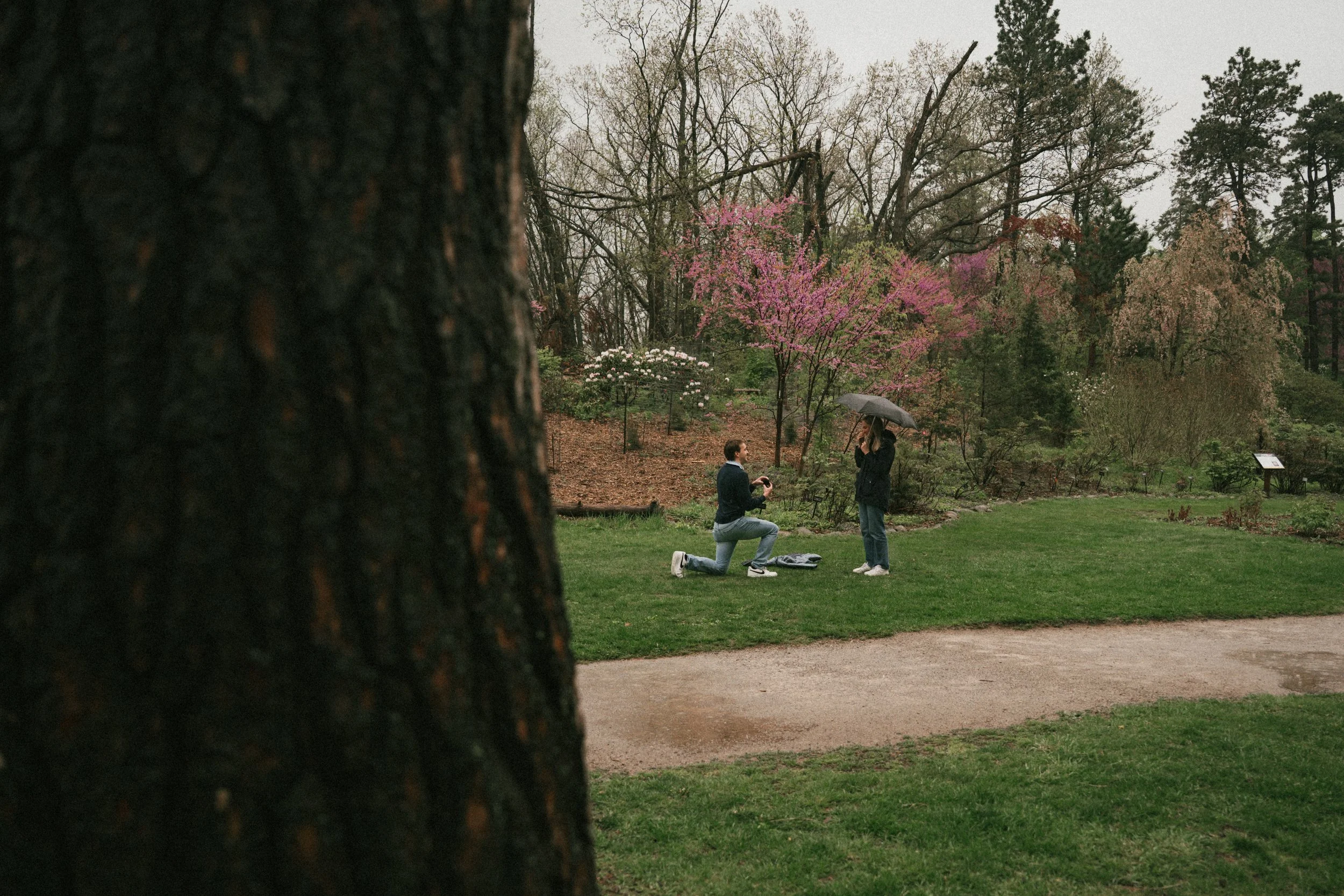Engagement Photographer Nichols Arboretum Ann Arbor JJ-7.jpg