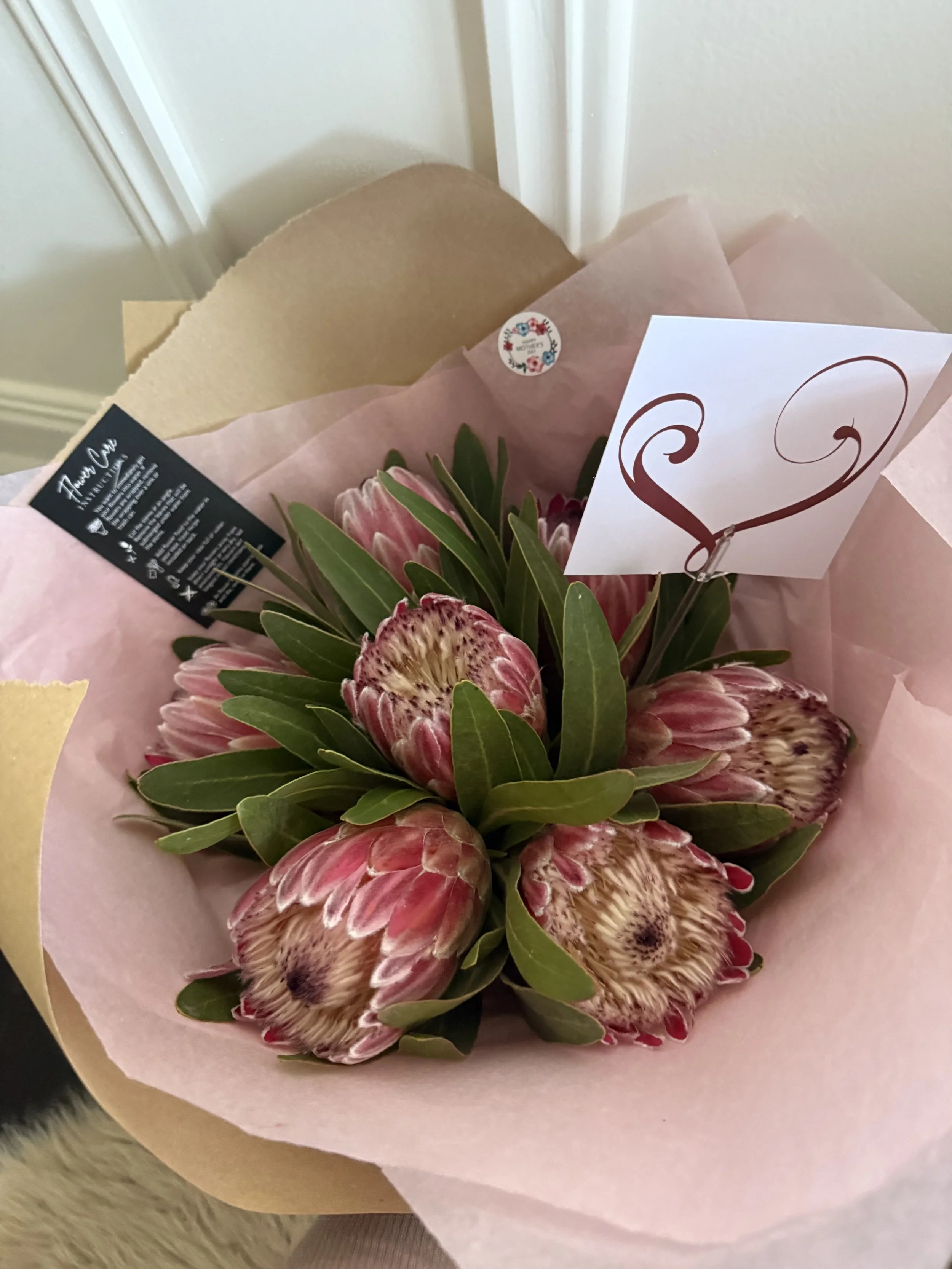 Large Protea Bunch - Mother's Day Special