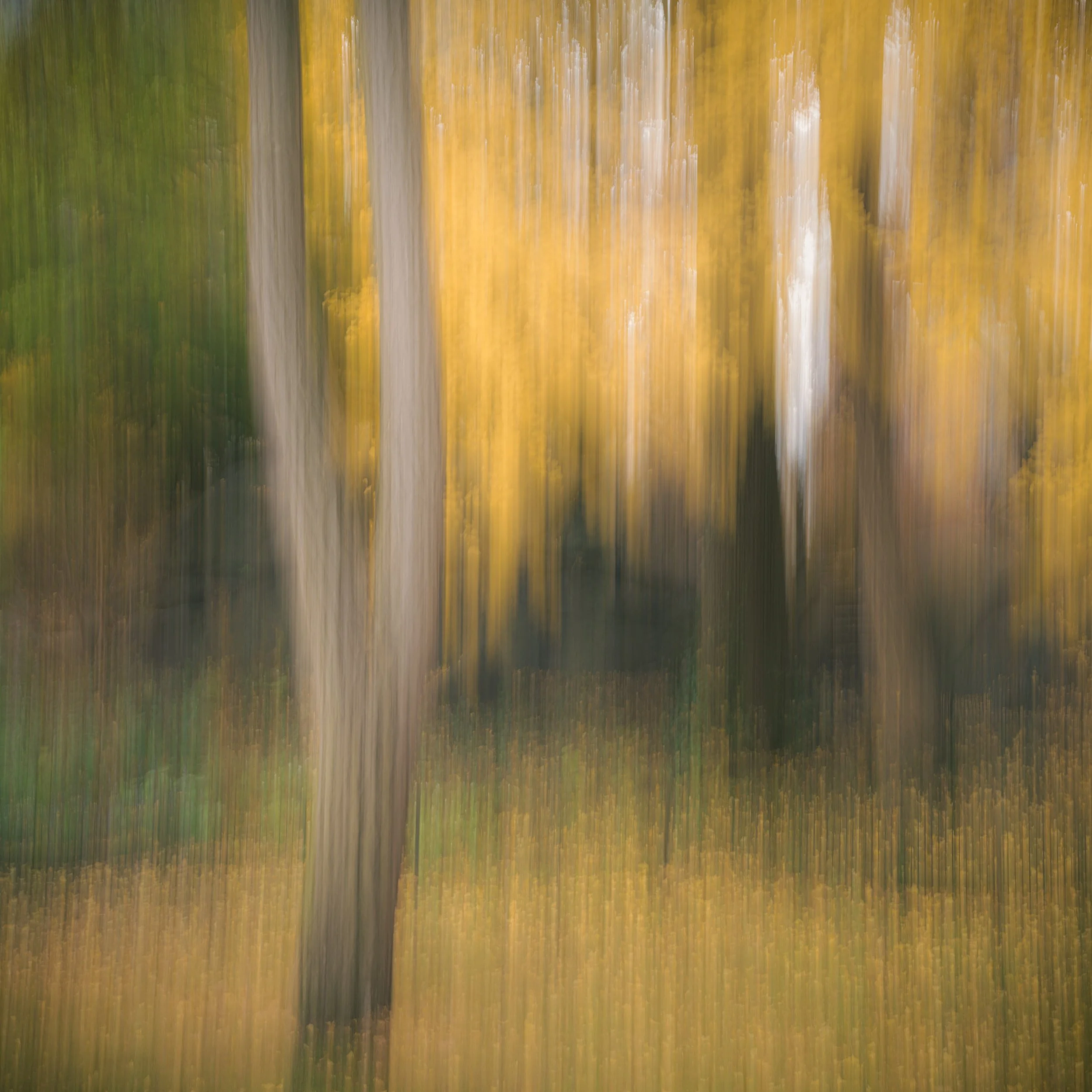 The Central Park in Fall series showcases the urban beauty of Central Park. Each fall scene bringing a unique view into how fall unfolds.