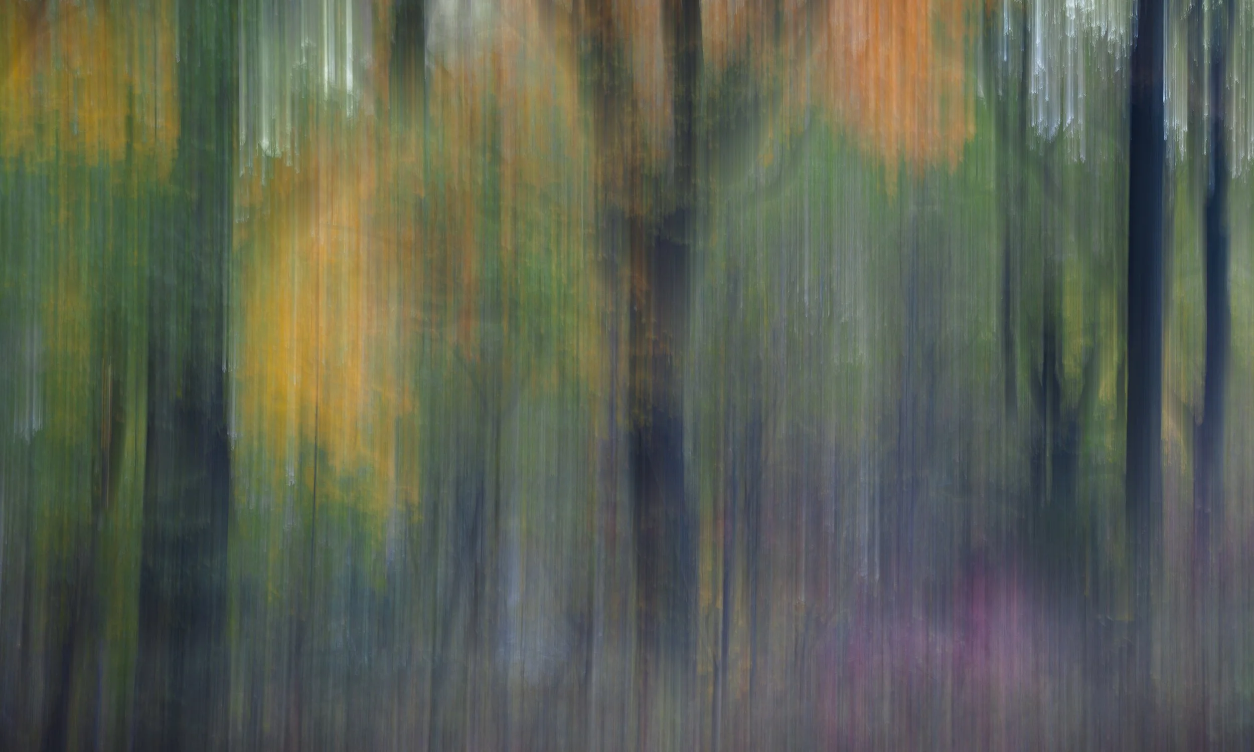 The Central Park in Fall series showcases the urban beauty of Central Park. Each fall scene bringing a unique view into how fall unfolds.