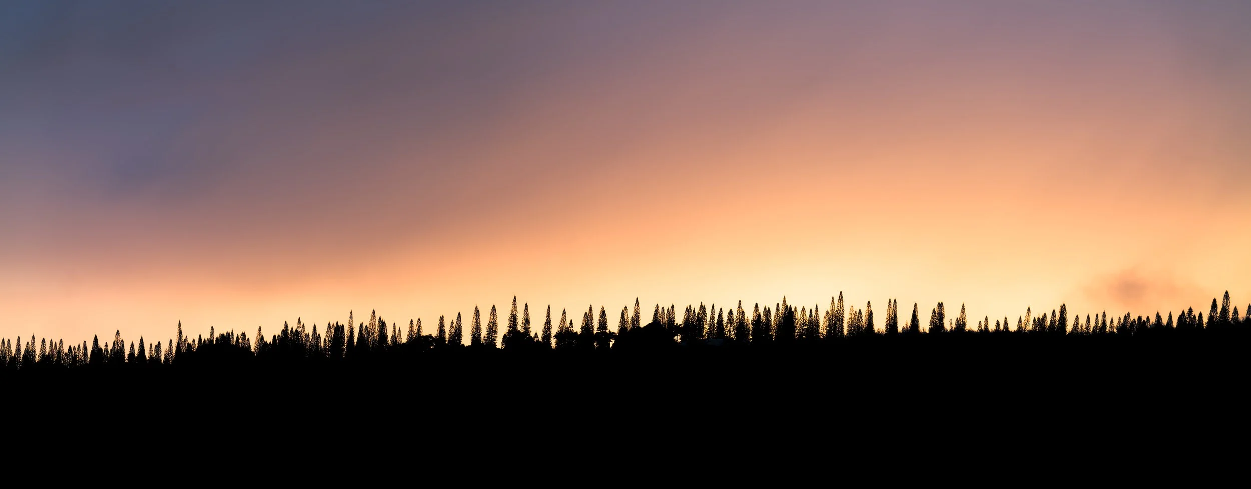 Shadow Ridge
