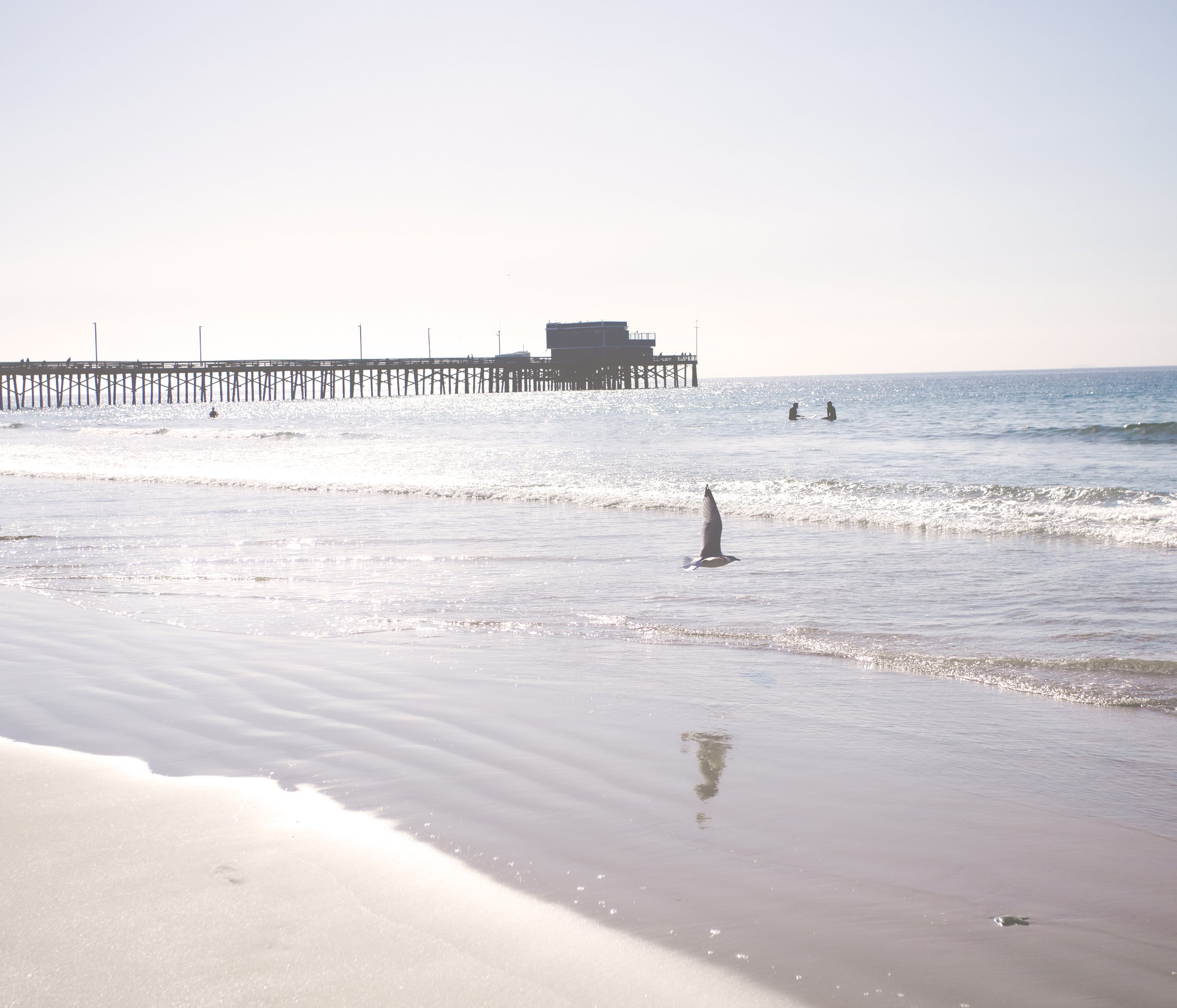 Morning Deift- Surfers & Shorebird