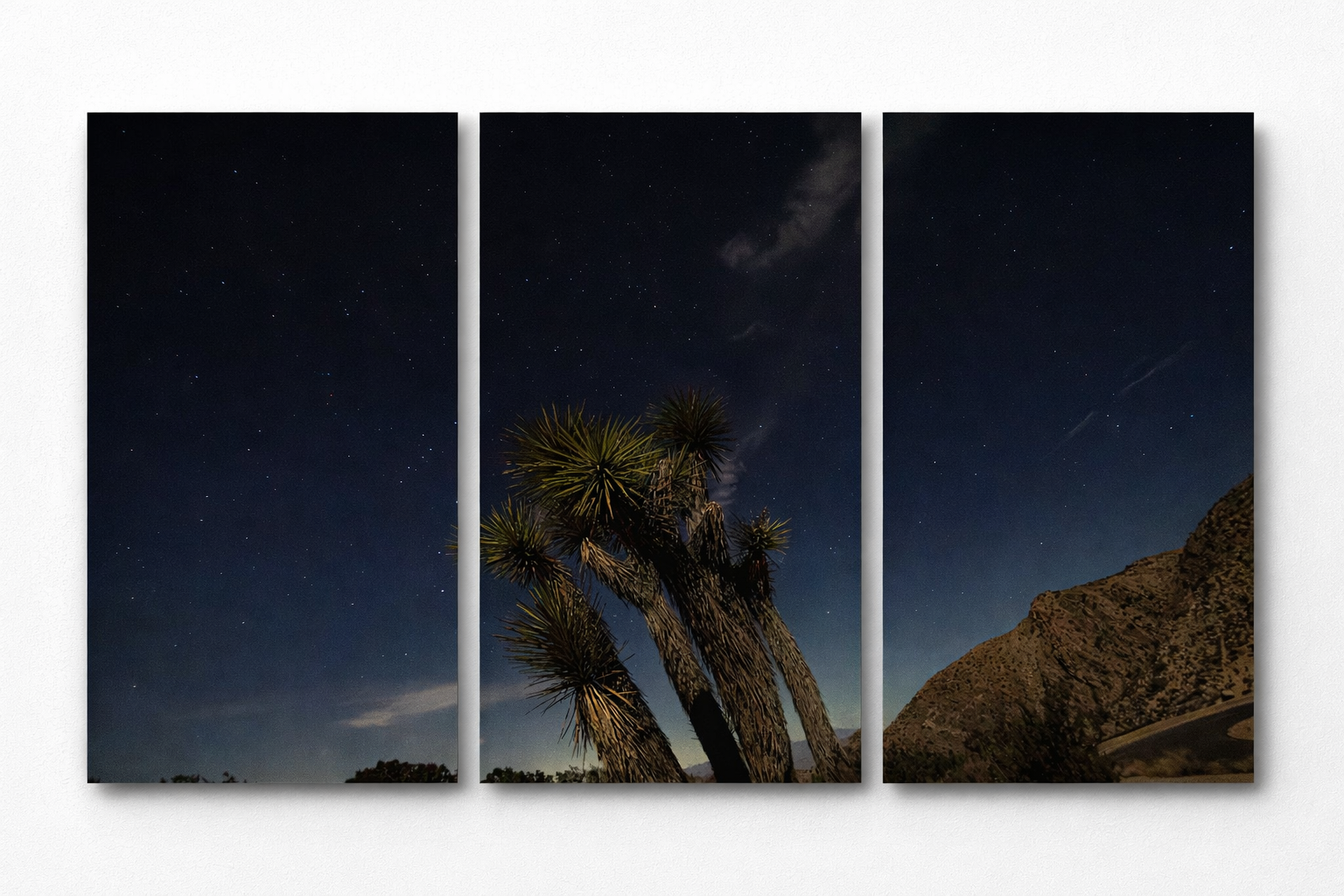 Joshua trees under a starry sky.png