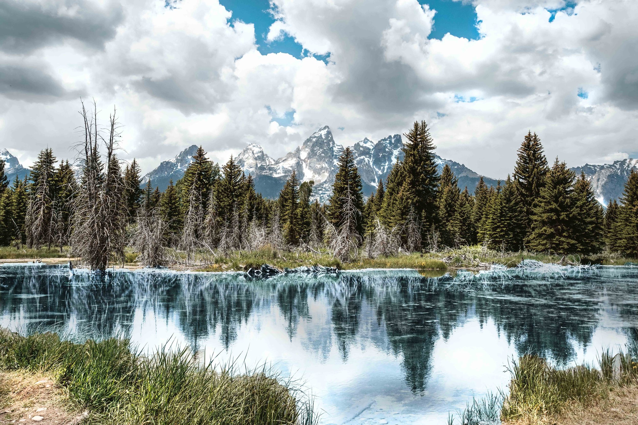 TETON1-low-res.jpg