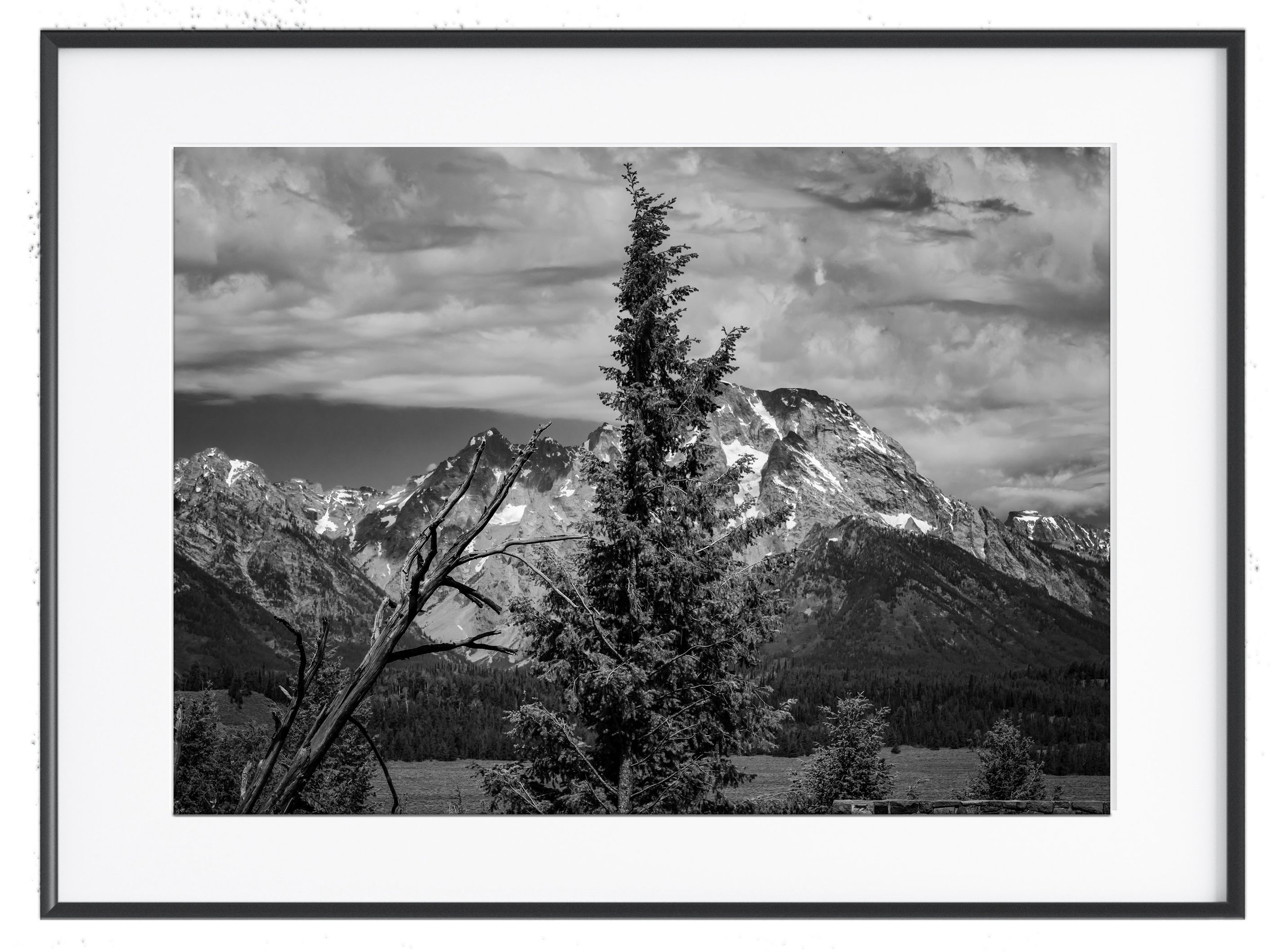 Framed-5.jpg