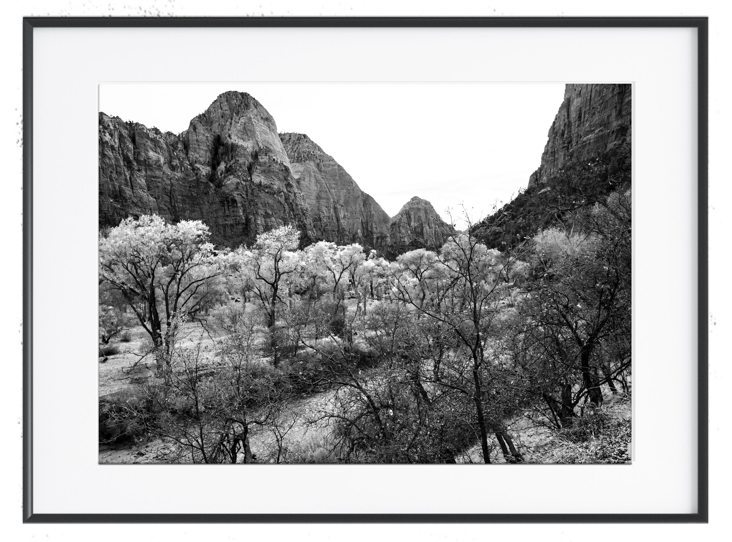 Framed-6.jpg