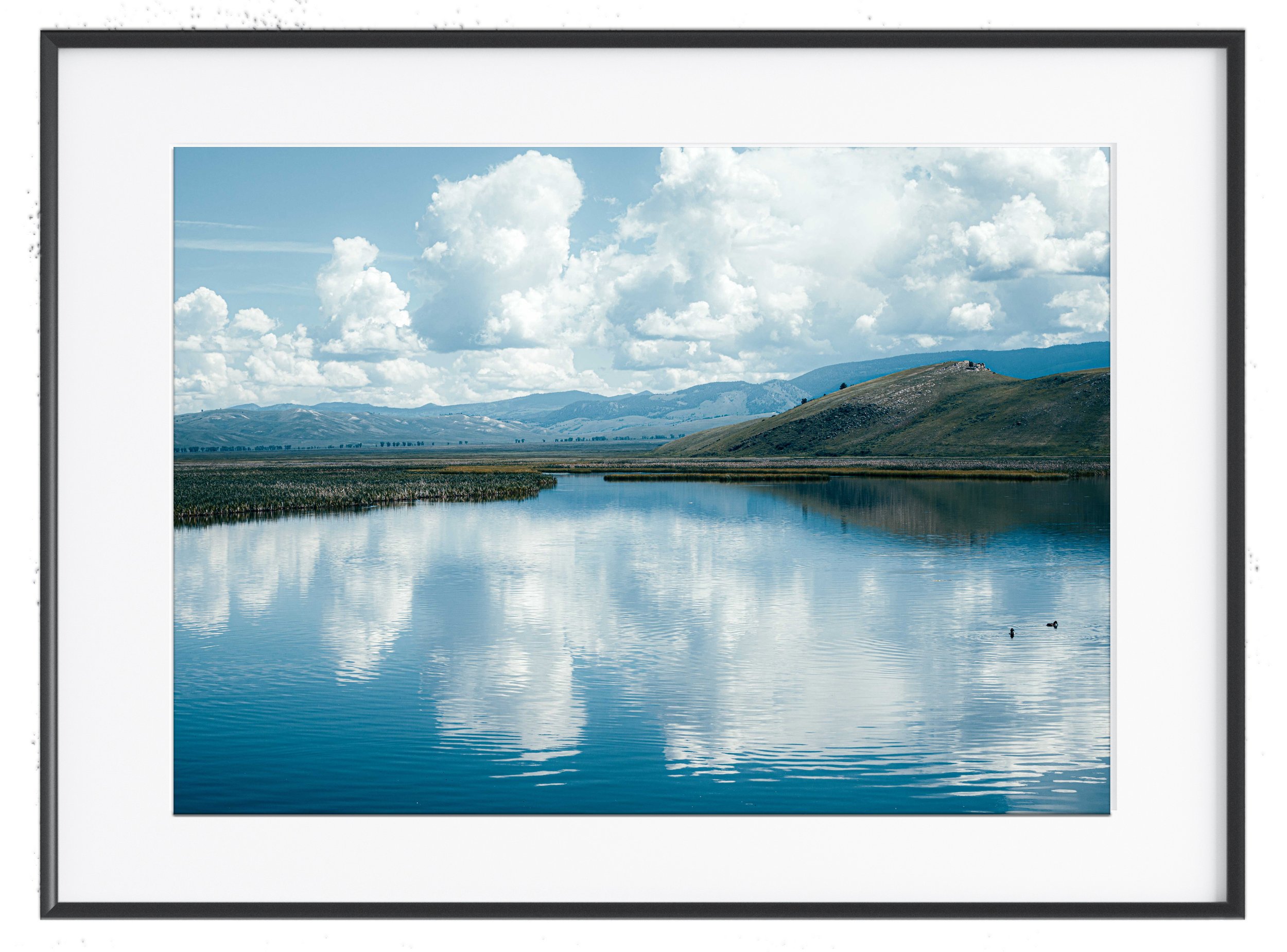 Framed 3.jpg