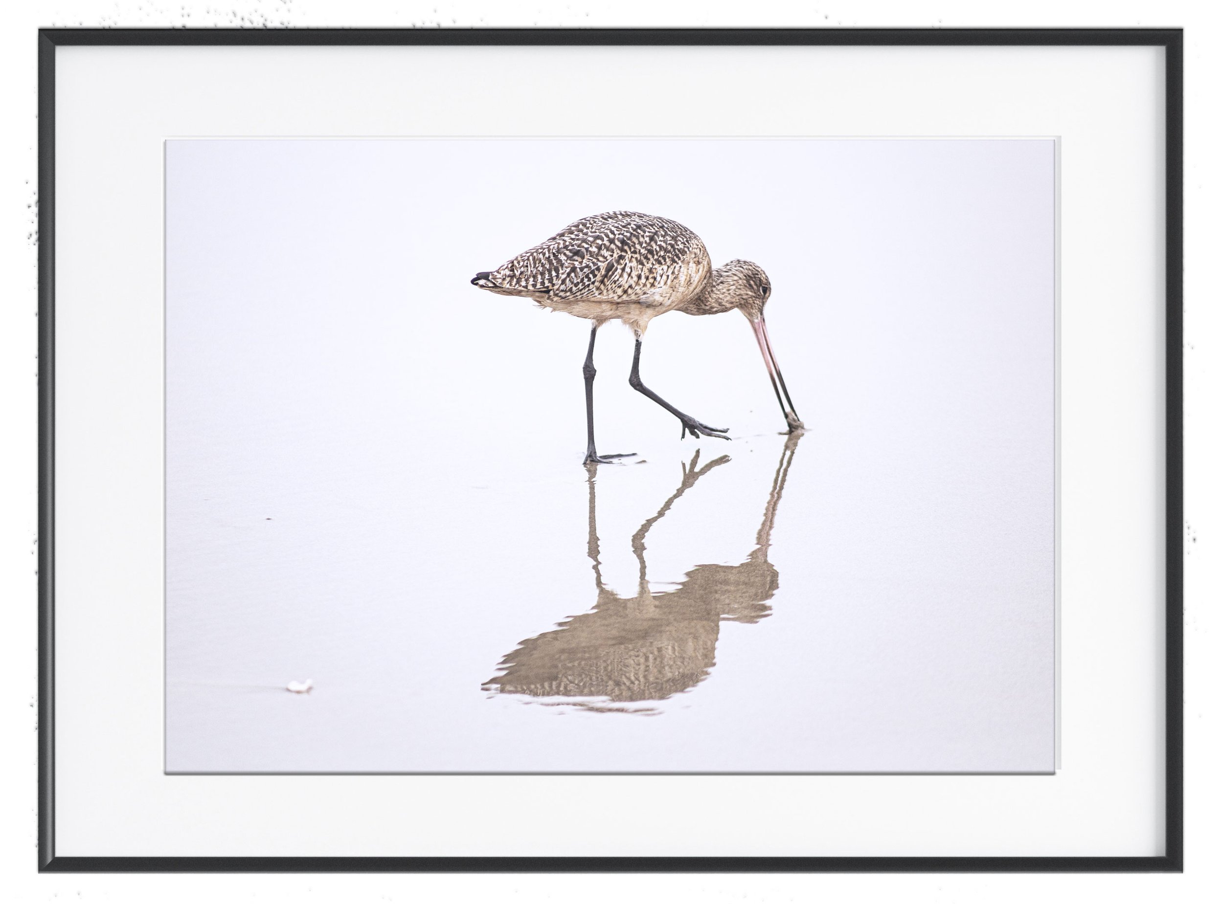 FRAMED-10.jpg