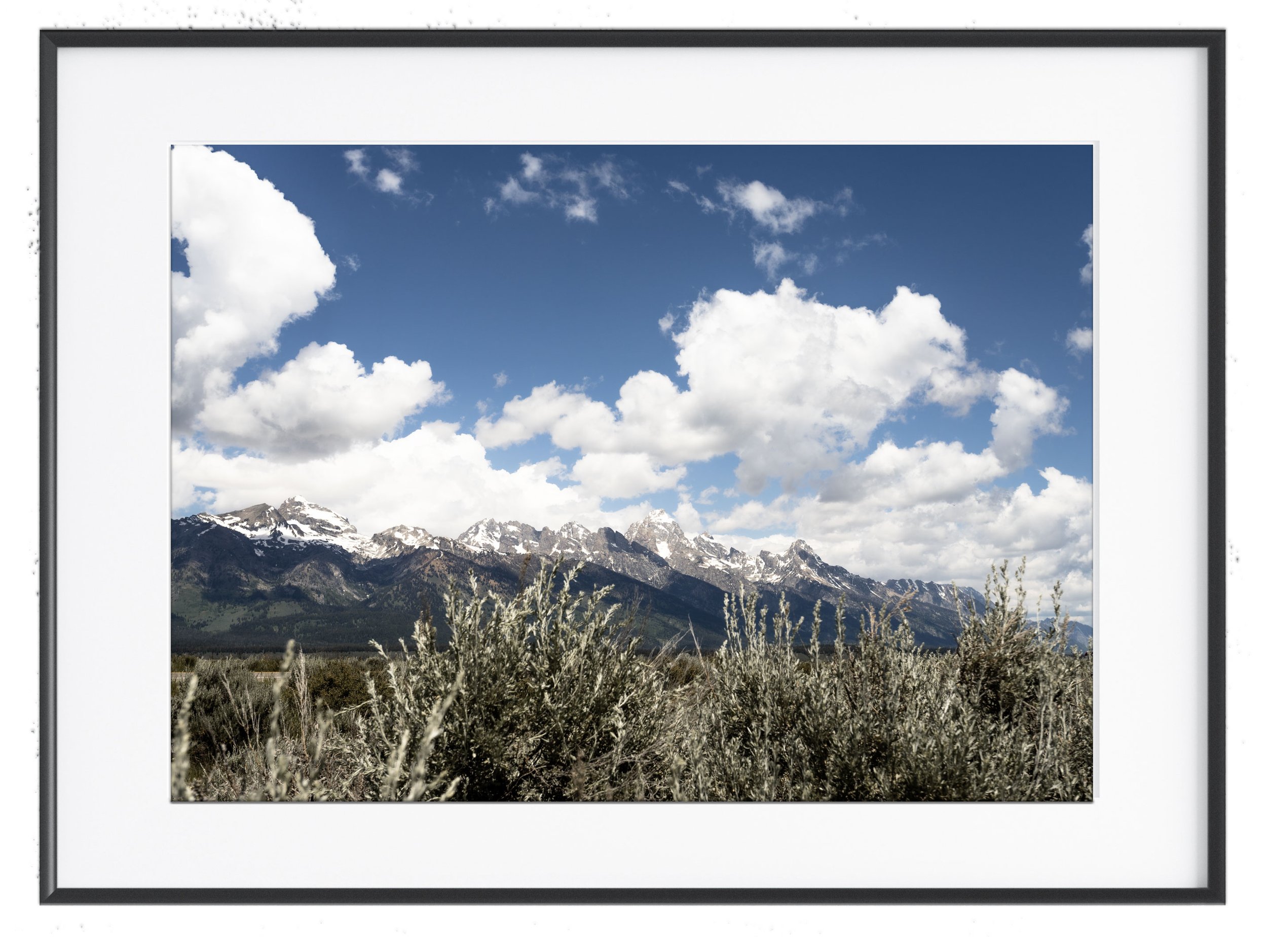 Framed-11.jpg