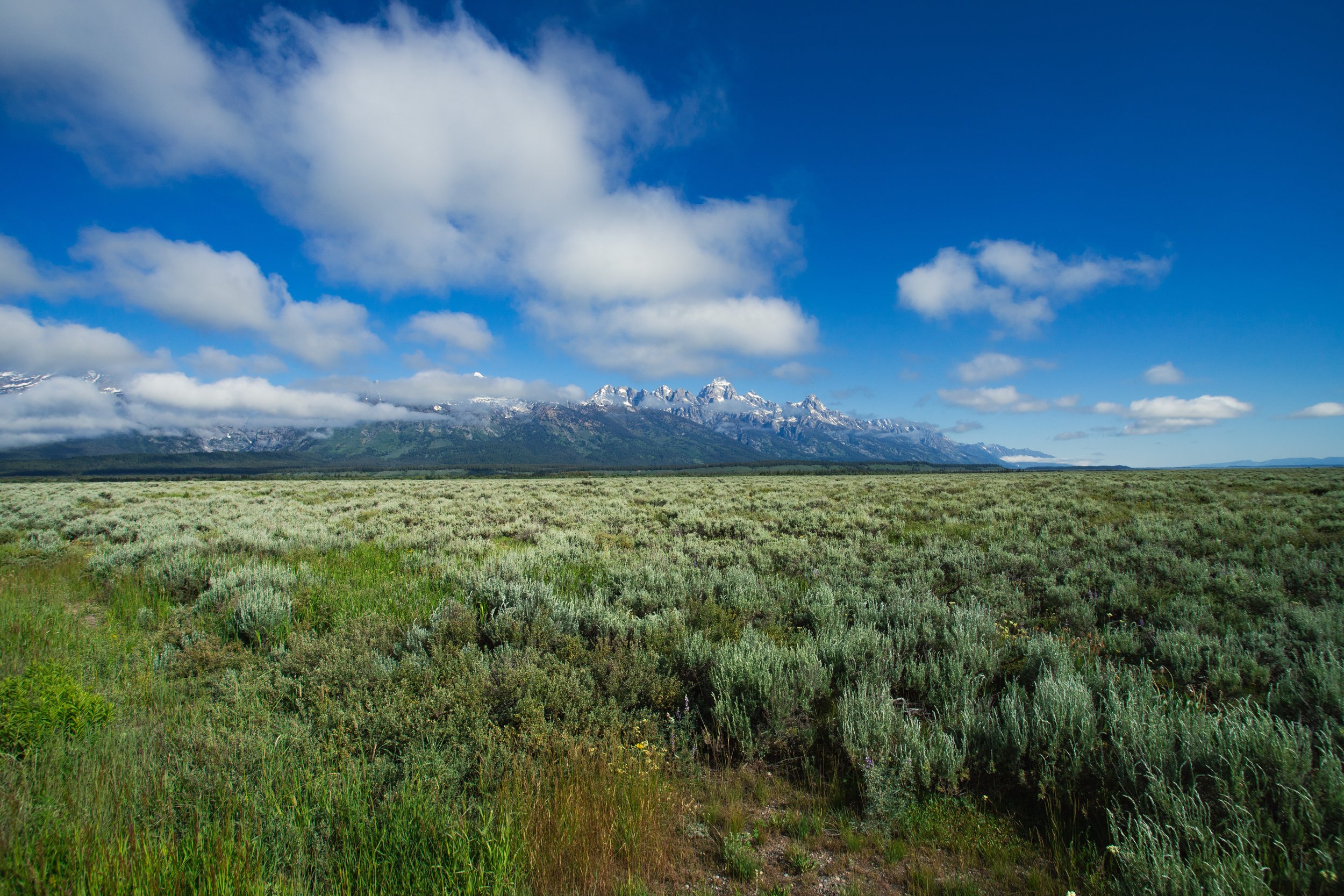 TETON4LR.jpg