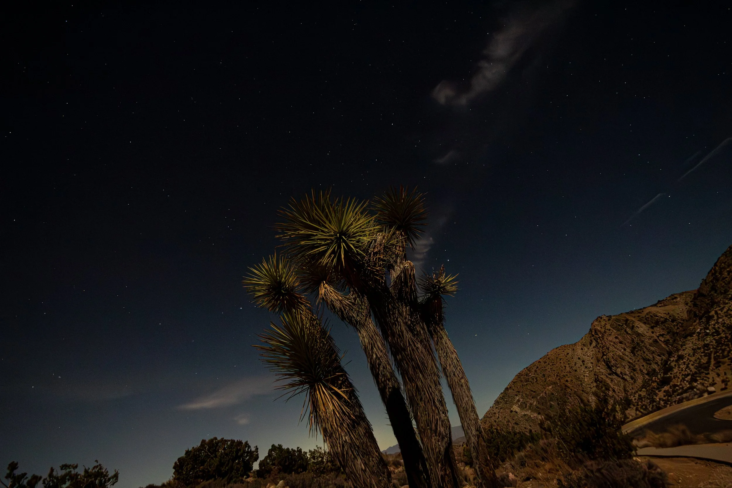 joshua-tree-national-park.jpg