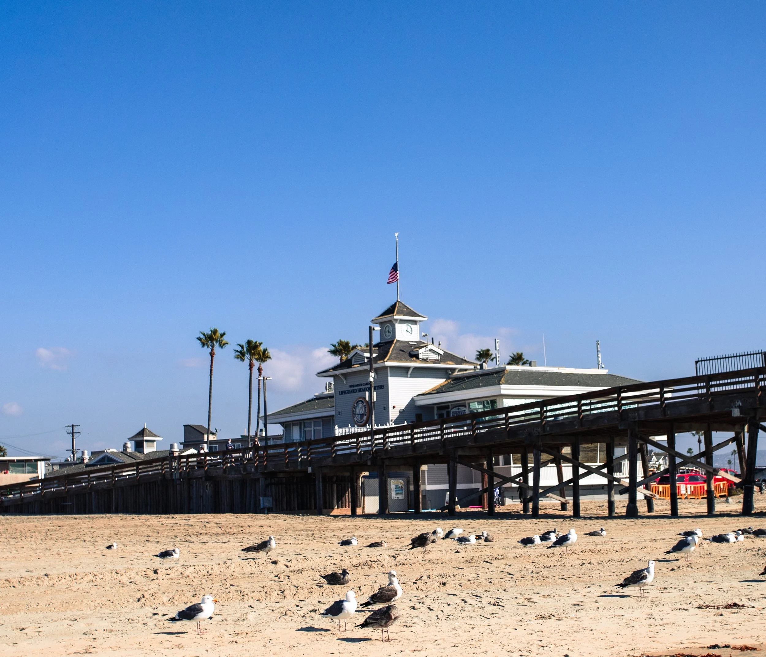 newport-beach-birds-pier-summer-.jpg