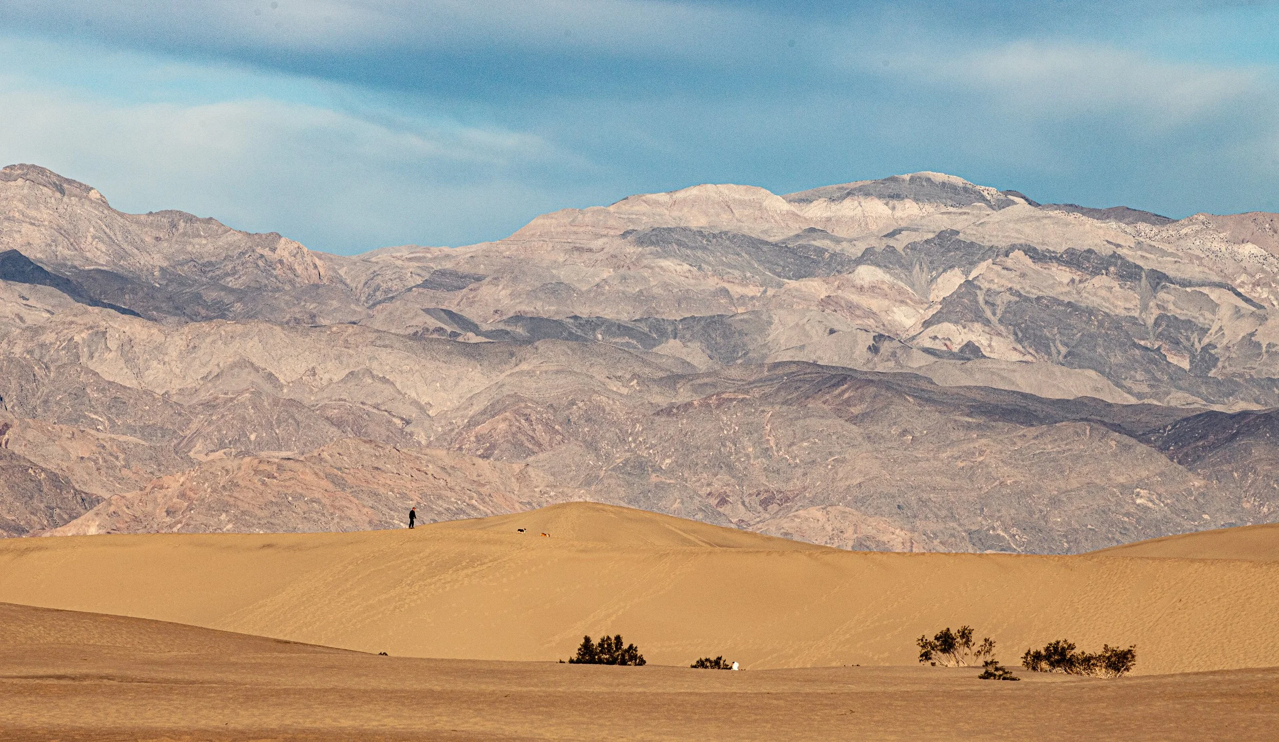 Drift through Silence